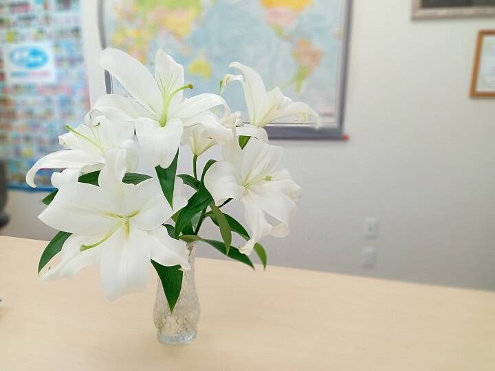 最大70 Offクーポン フラワーファーム しろねのユリ 切花10本 産地おすすめ花色 10月発送 お届け Fucoa Cl