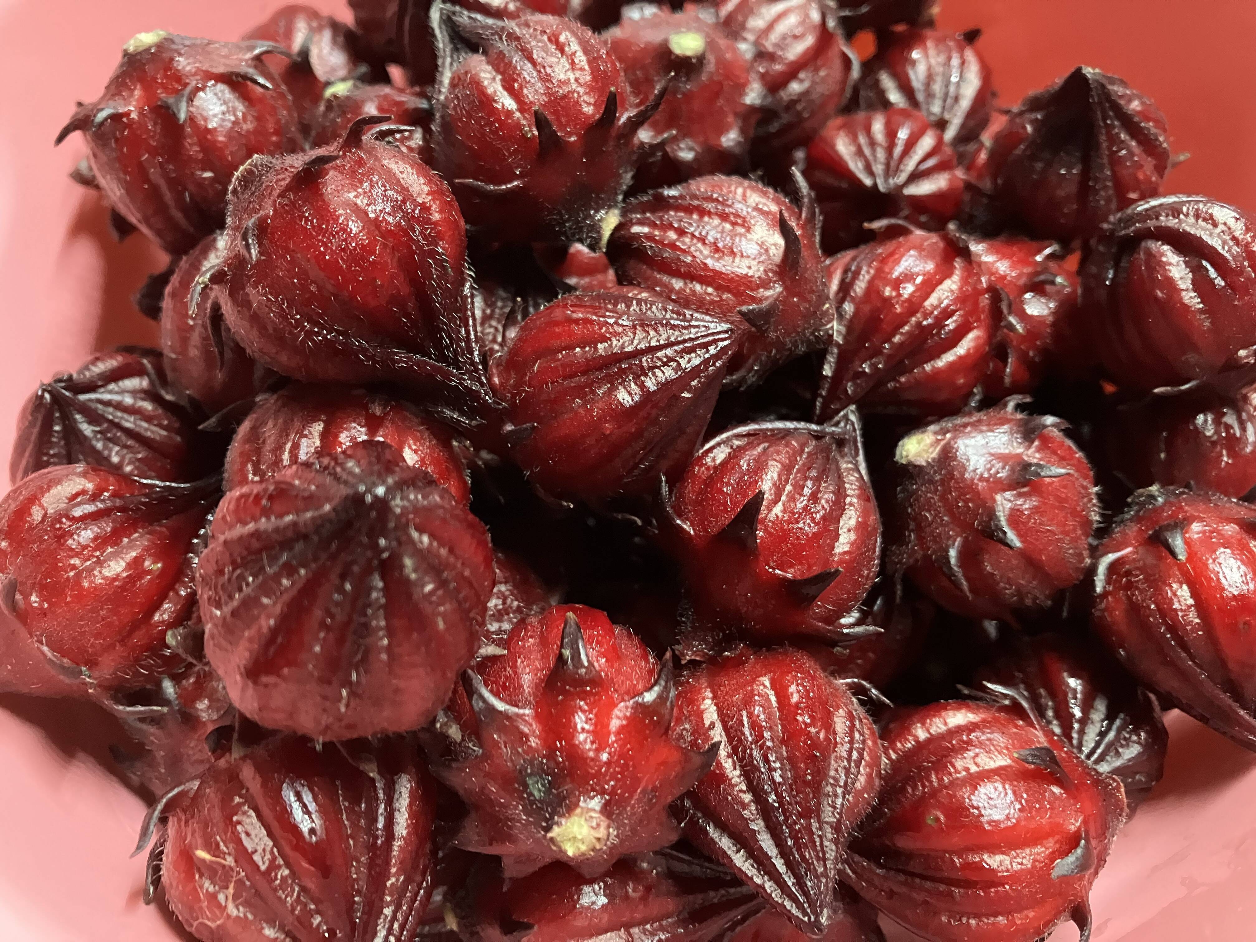 【残りわずか！最終出品間近】沖縄産フレッシュローゼル　10kg 残りわずか！最終出品間近】沖縄産フレッシュローゼル 10kg 2025年最新