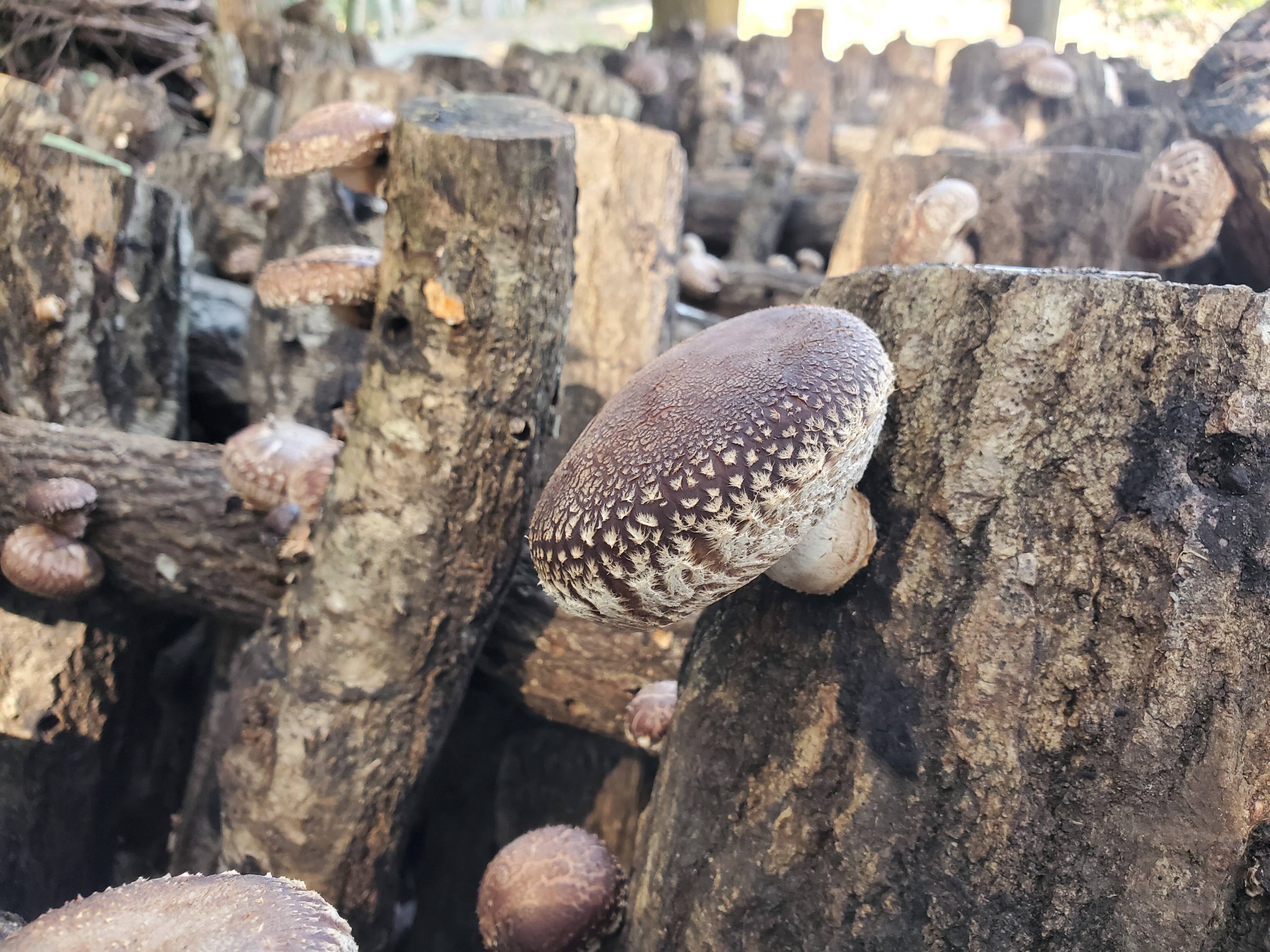 14c2e6464f744c7b5ca468dfdc17dd