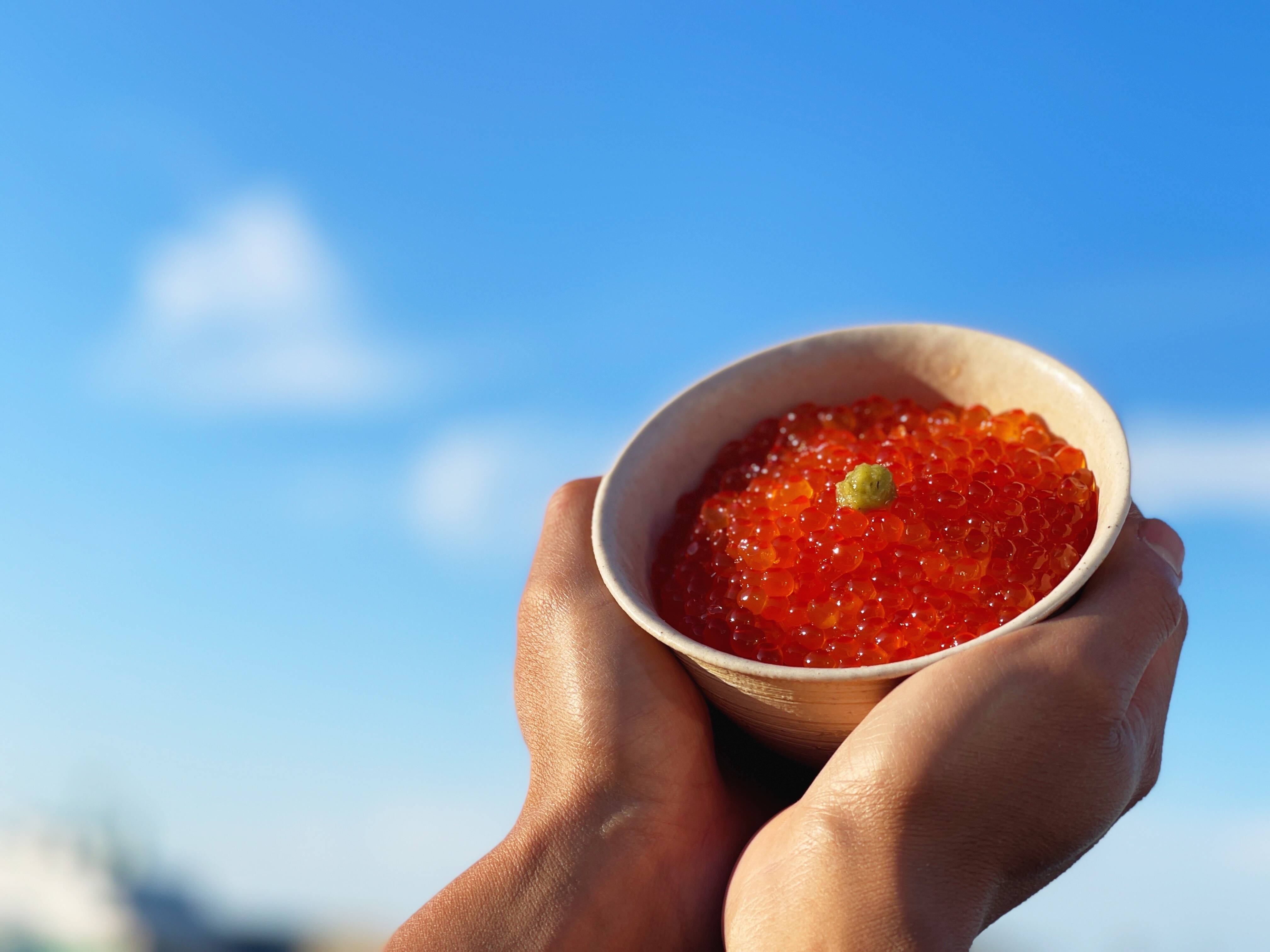 🍴 Eating choku ｜ [Special salmon roe] Additive-free salmon roe pickled in soy sauce XNUMXg (XNUMXg x XNUMX) Heaven ...