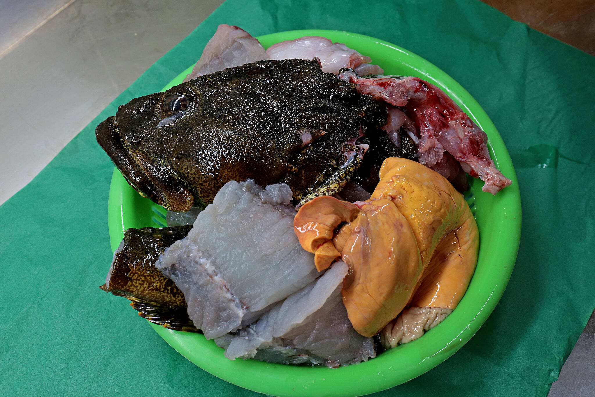 鍋をつついて壊したくなる 美味しいマカジカ なべこわし 2 0ｋｇ捌き済み 北海道産 食べチョク 農家 漁師の産直ネット通販 旬の食材を生産者直送