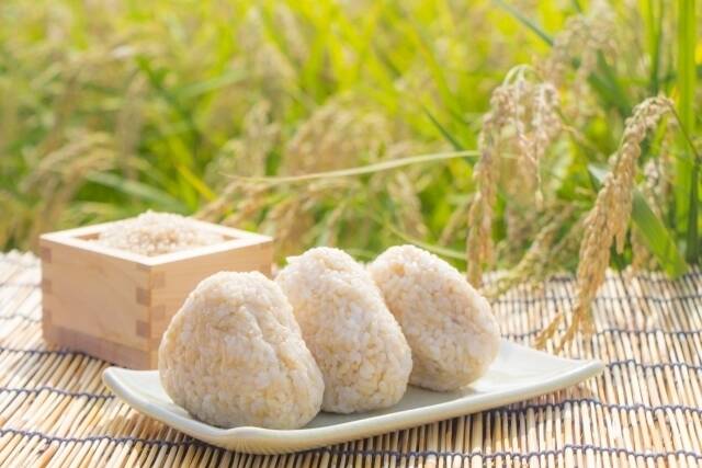 令和7年度産 新米 北アルプスの麓で育んだお米 長野県松川村産