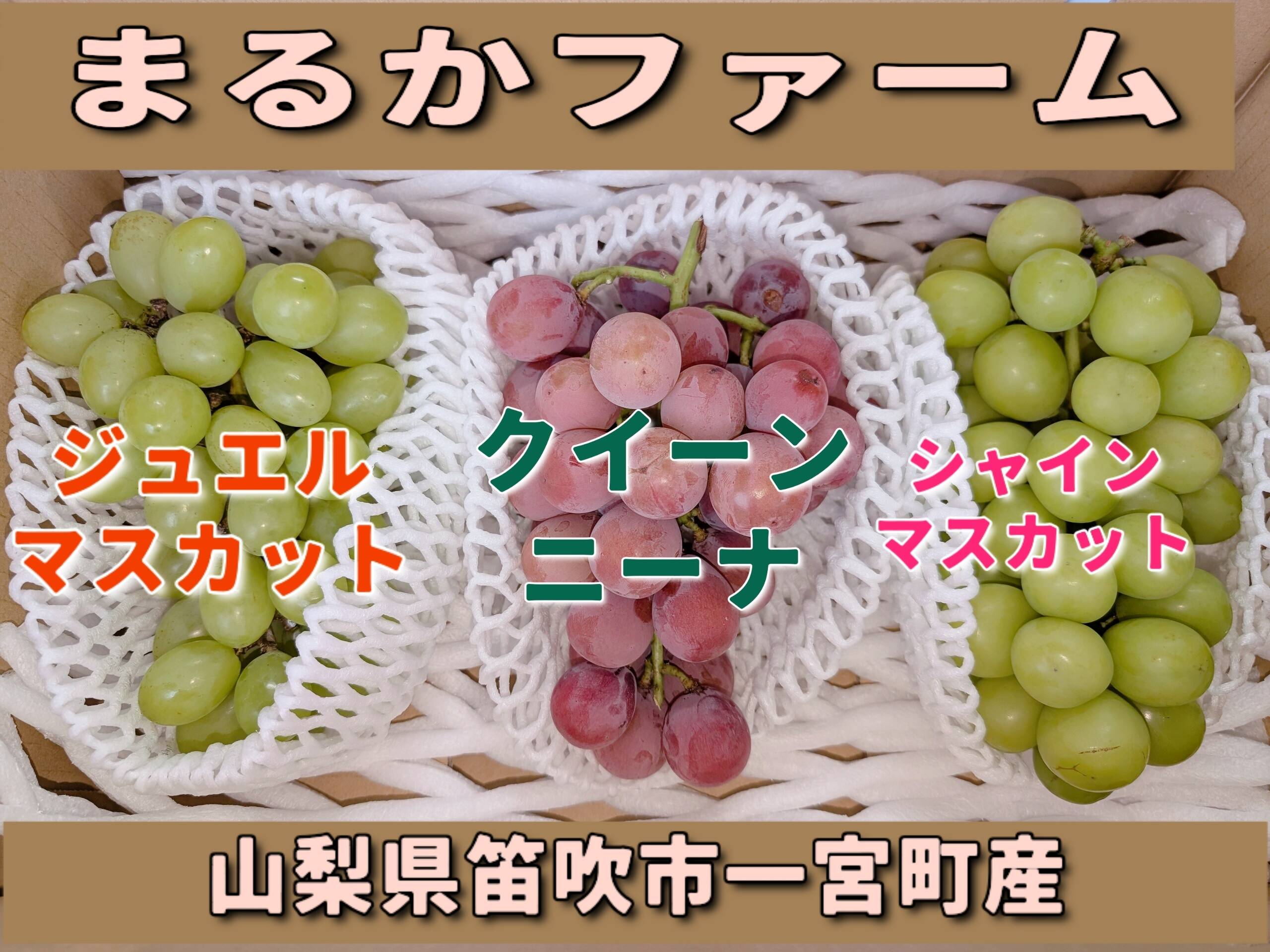 🍇シャインマスカット/クイーンニーナ/ジュエルマスカット 計約