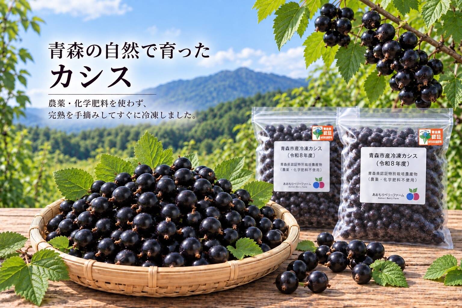 冷凍カシス（令和8年産青森県認証特別栽培）：青森県産のカシス｜食べ