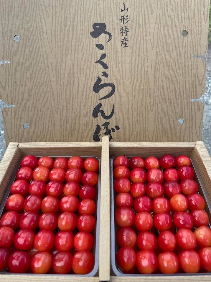 4【本日発送】紅秀峰・紅てまり　食べ比べセット1kg 山形県産さくらんぼ