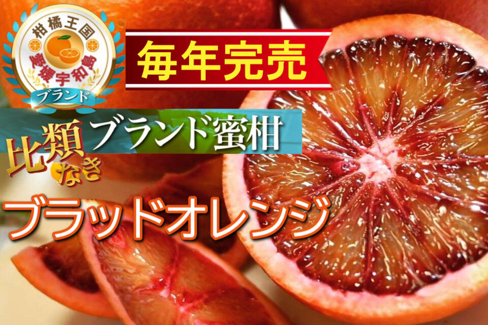 157140bc142b570a9d87a285124327