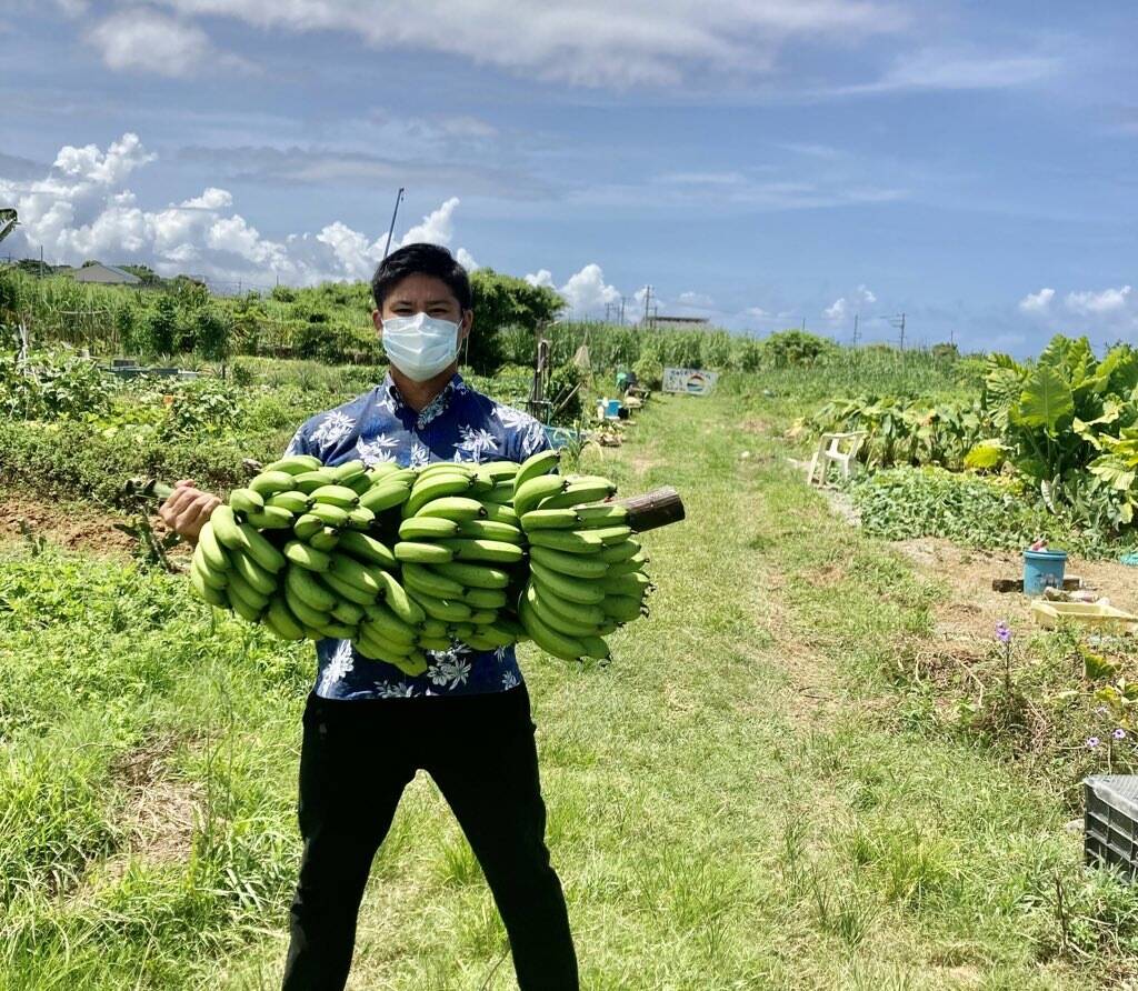 予約販売開始!!】沖縄産‼︎三尺バナナ1.5kg❗️採れたて！：沖縄県産の野菜｜食べチョク｜産地直送(産直)お取り寄せ通販 -  農家・漁師から旬の食材を直送