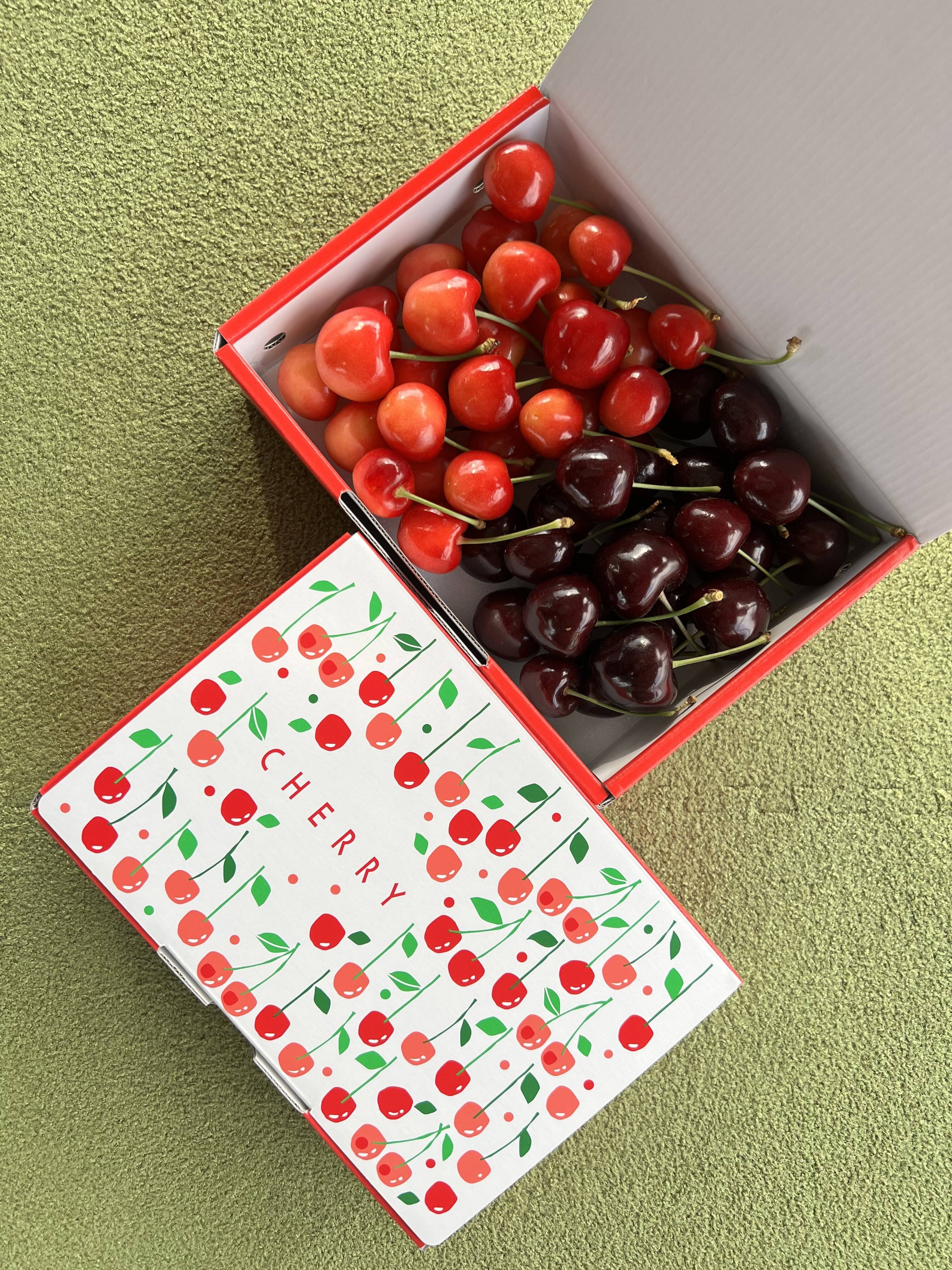 大粒！！さくらんぼ【サミット＆レーニア】 約500g バラ箱：山梨県産の