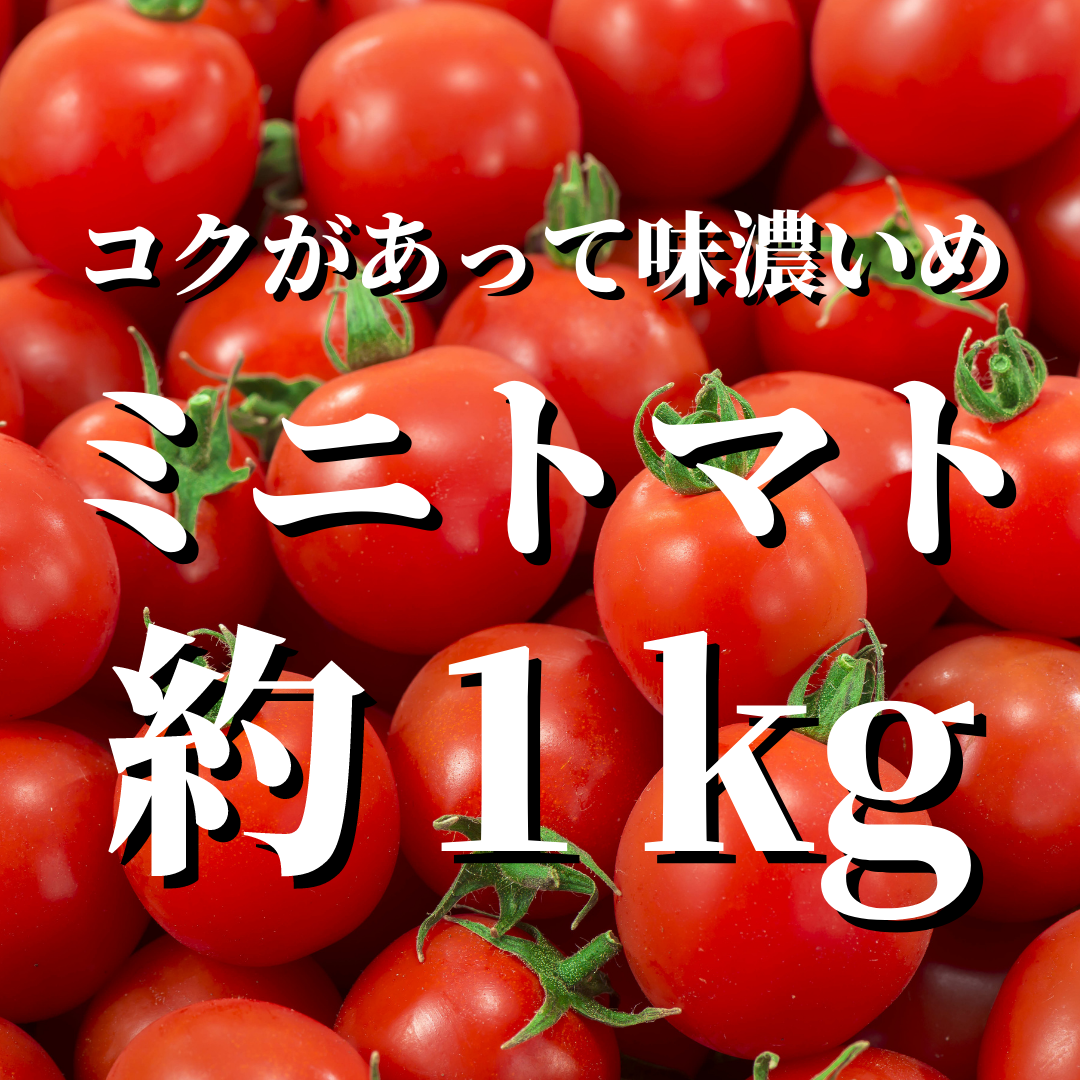半額 ヴォーノトマト1kgコンパクト便✩303 en-dining.co.jp