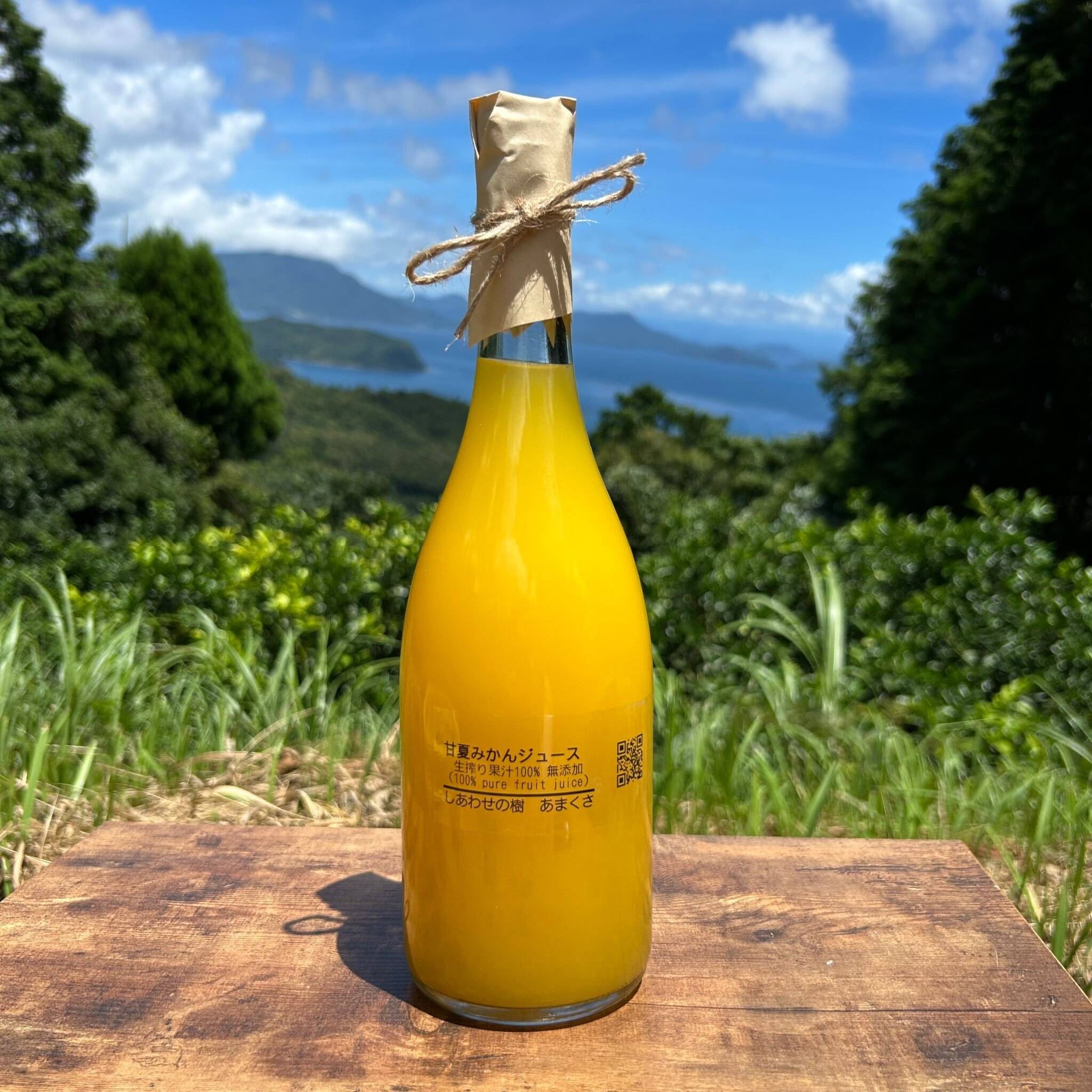 TULIP 様　愛媛県産果汁100%ストレートジュース TULIP 様 愛媛県産果汁100%ストレートジュース せとかジュース