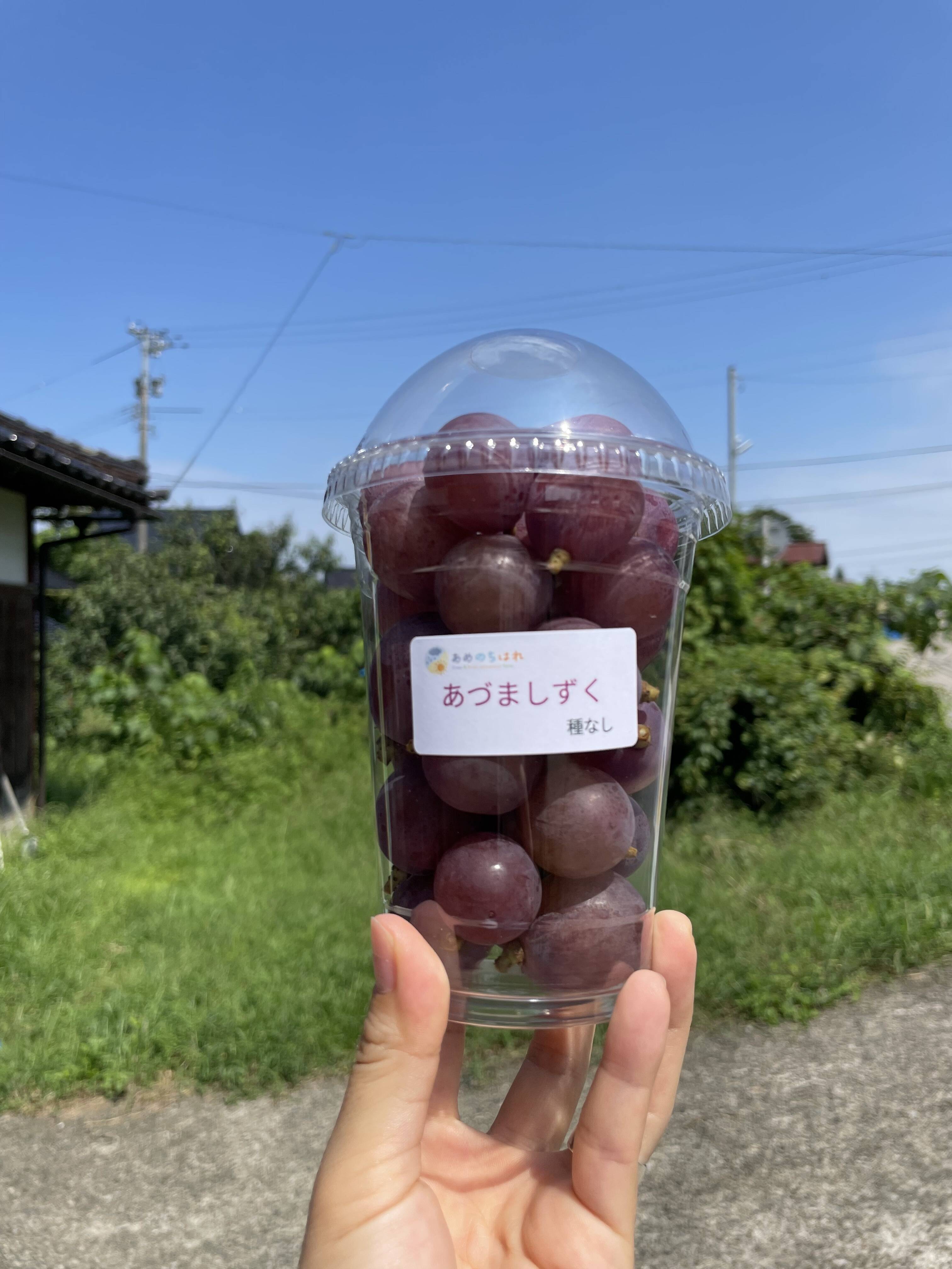 採れたて当日発送]あづましずく【粒ぶどう】350g×4：富山県産のあづま