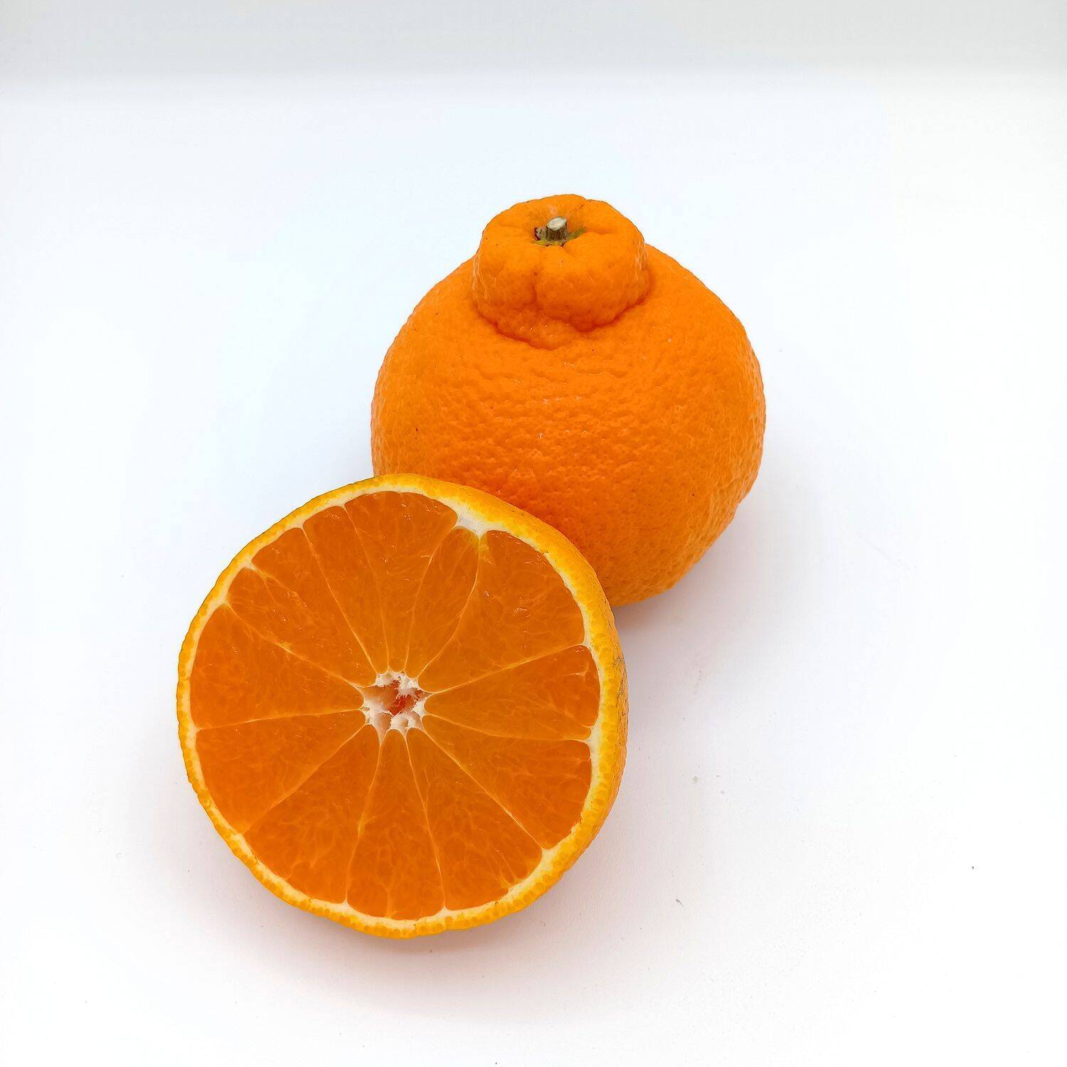 デコがポイント！不知火【小玉サイズ 贈答用 2.1～2.2kg】：熊本県産の