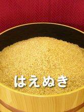 🍴 Eat choku ｜ "Brown rice food" Haenuki 5 kg Shipped from Takahata, Yamagata Prefecture Pesticide-saving cultivation …