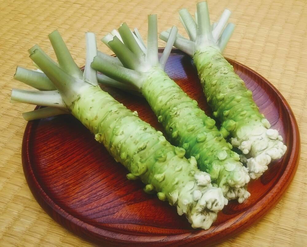 本生わさび(訳あり)【100g前後】お得,お試し,おまかせ：静岡県産の野菜｜食べチョク｜産地直送(産直)お取り寄せ通販 - 農家・漁師から旬の食材を直送