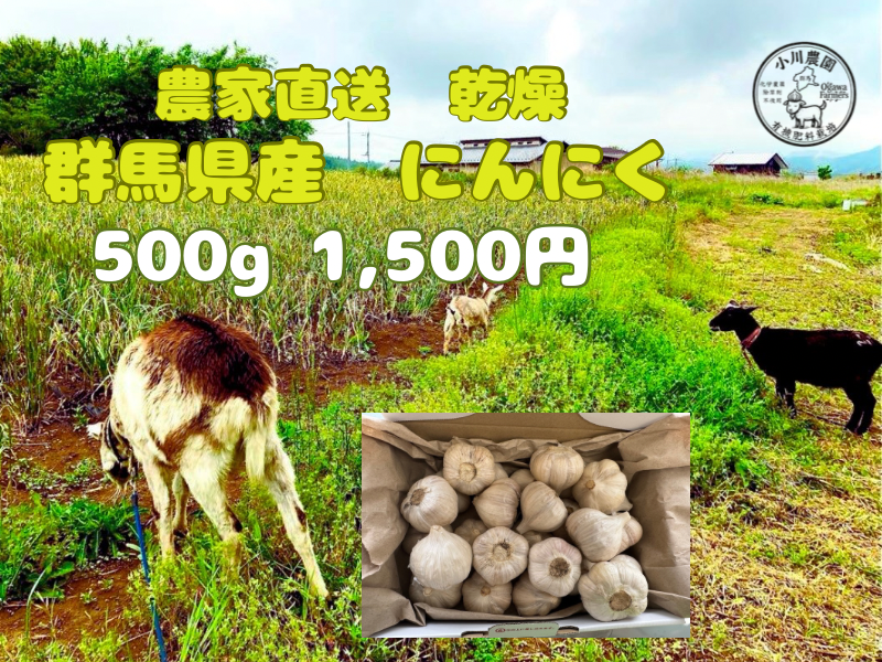 令和8年度 群馬県産 乾燥ニンニク 有機肥料栽培 農薬化学薬品無使用