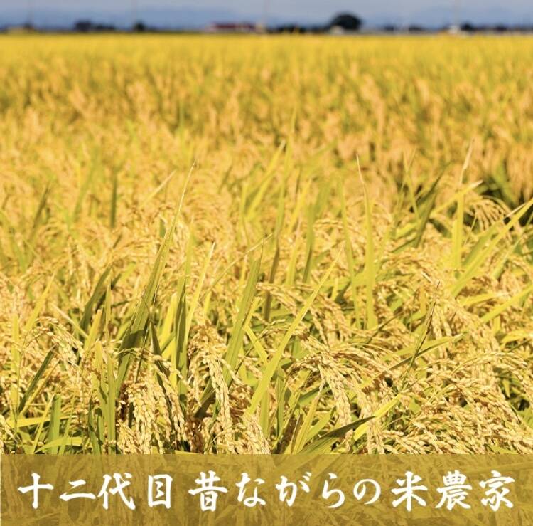 どろんこ農家さま専用 2025年8月下旬入荷予定 半組立済 農業用かくはんミキサー まぜ