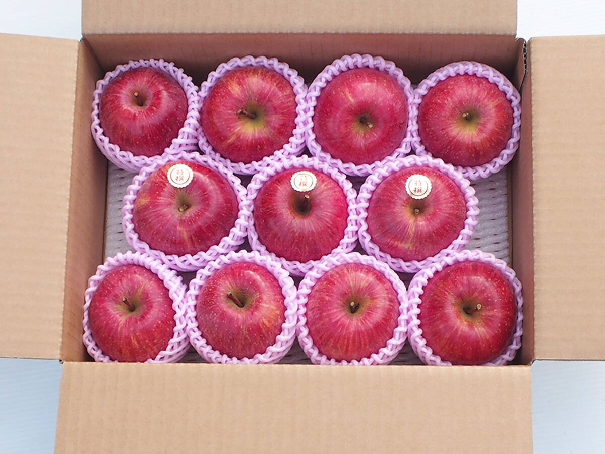 蜜入りりんごの代表格 サンふじ🍎 3キロ (9〜12玉) ギフト 予約 りんご