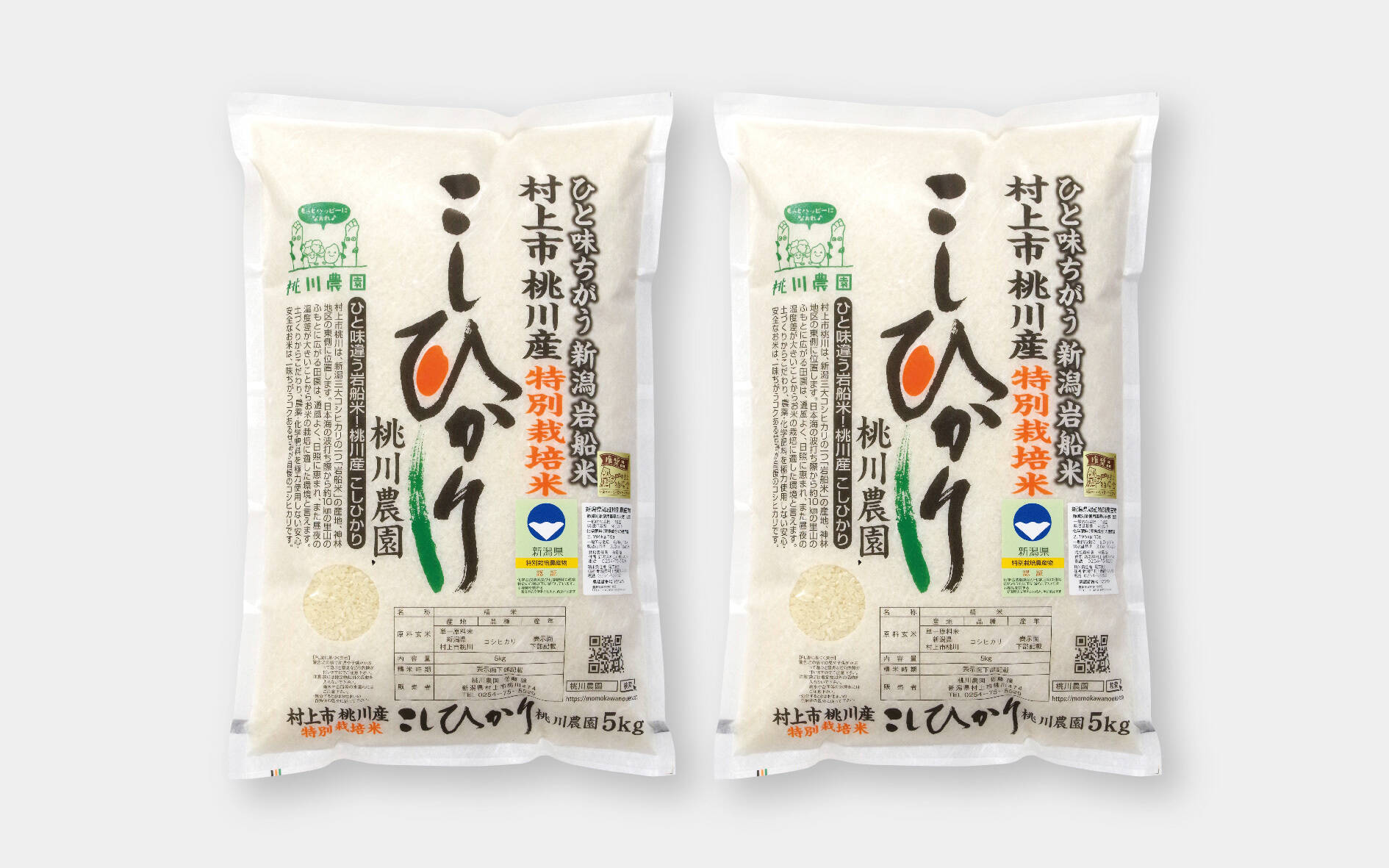 新米予約 令和8年産】コシヒカリ特別栽培米10kg（5kg×2）：新潟県産の