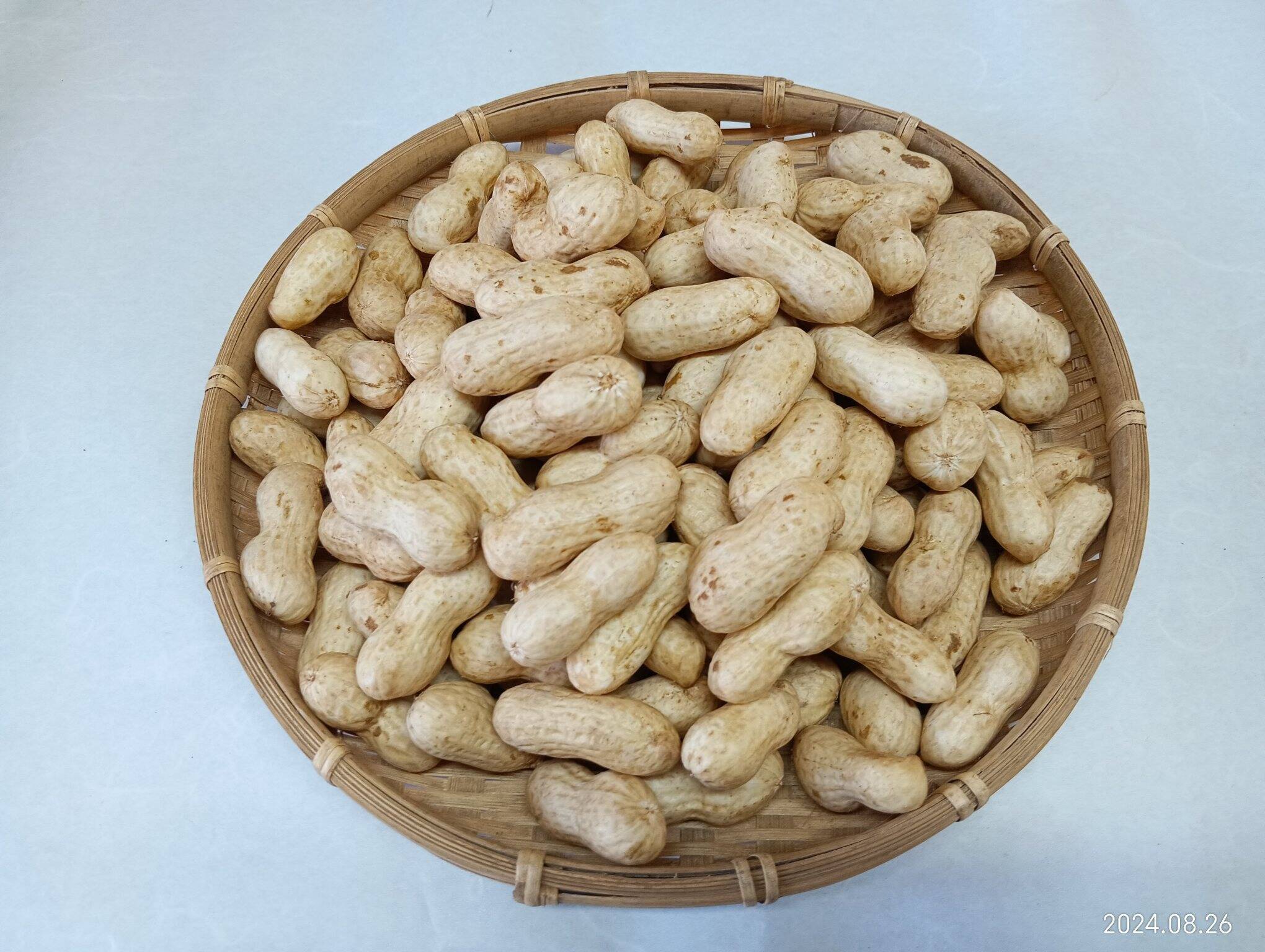 生落花生【おおまさり】箱込み2kg入り（正味1.85kg）《採れ始め》期間限定です, (レシピ付き)