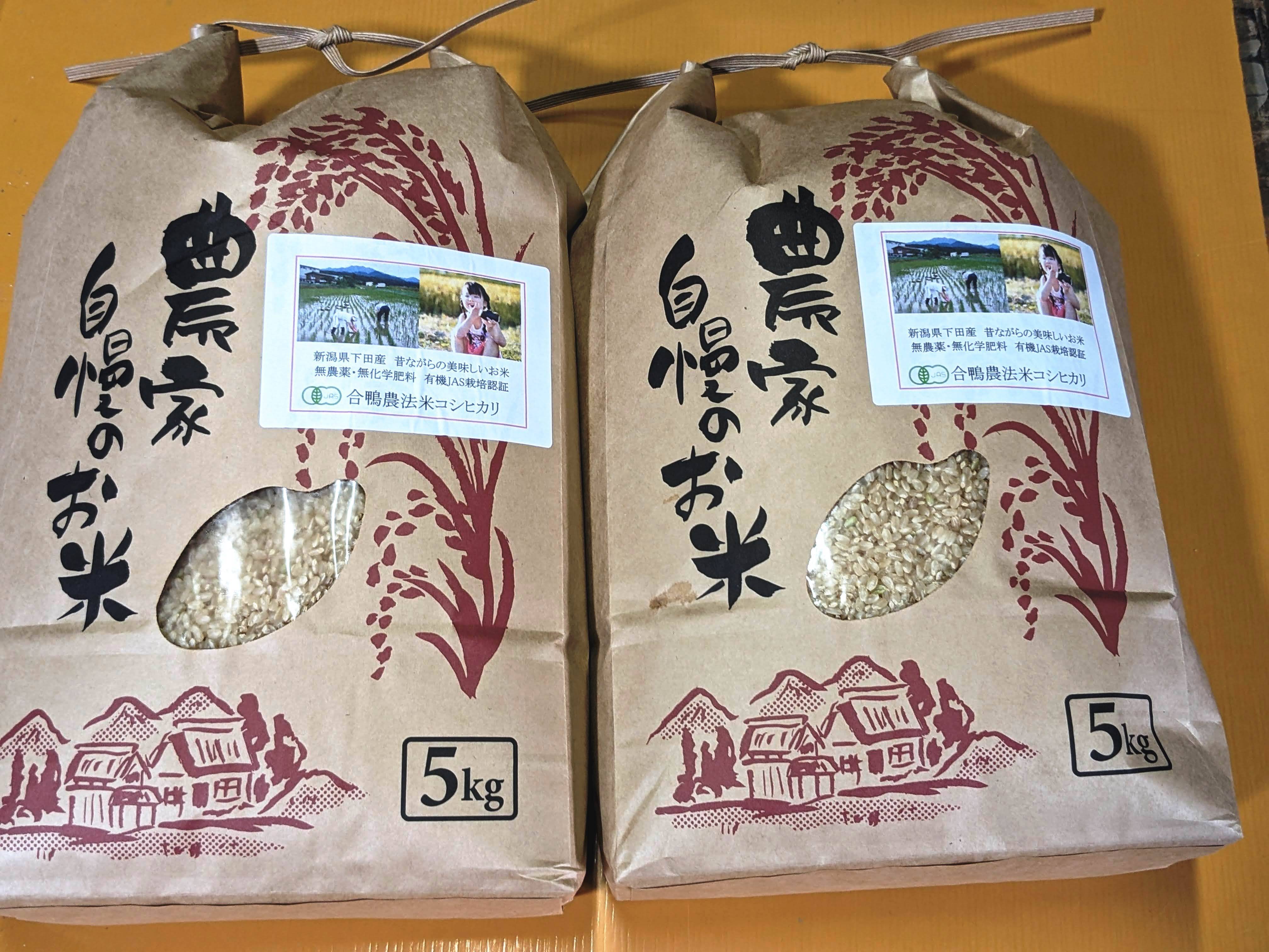 新米！令和5年度無農薬無肥料JAS認定新潟県産コシヒカリ 玄米５kg - 米