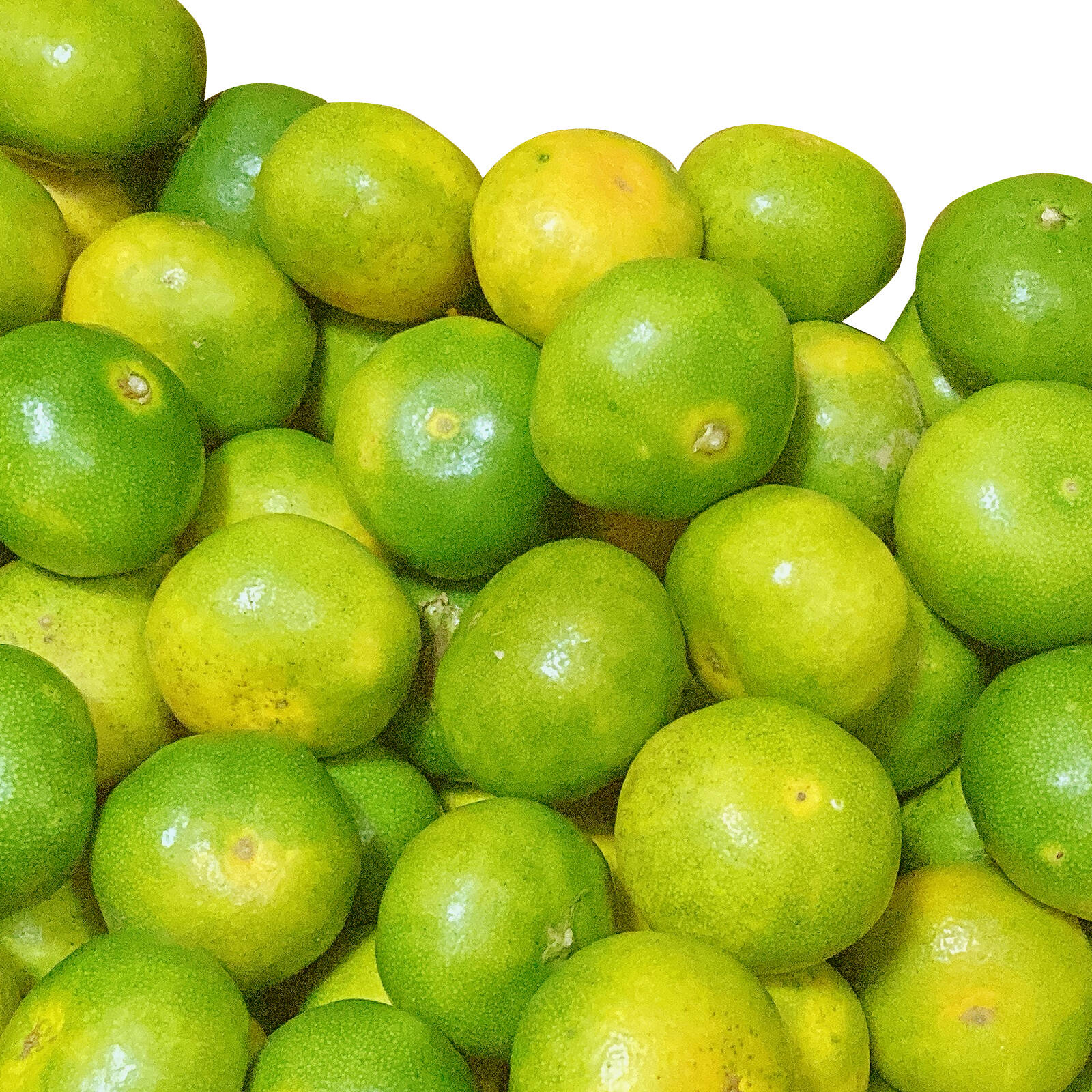 小玉！有田みかん 2.5kg【わけあり】：和歌山県産のみかん・柑橘類