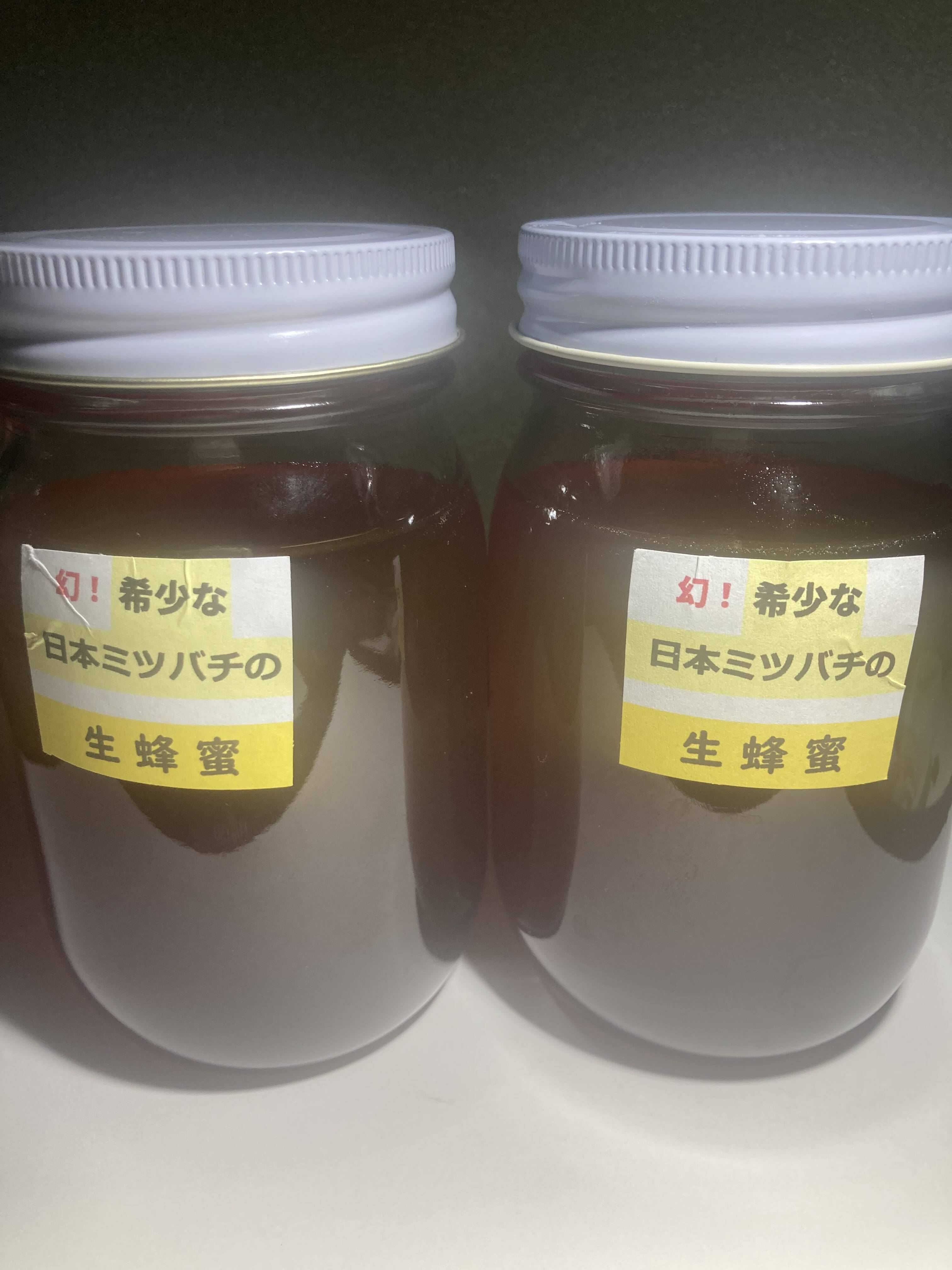 希少な日本蜜蜂、日本ミツバチの生はちみつ 500g X2本 ‼️：大分県