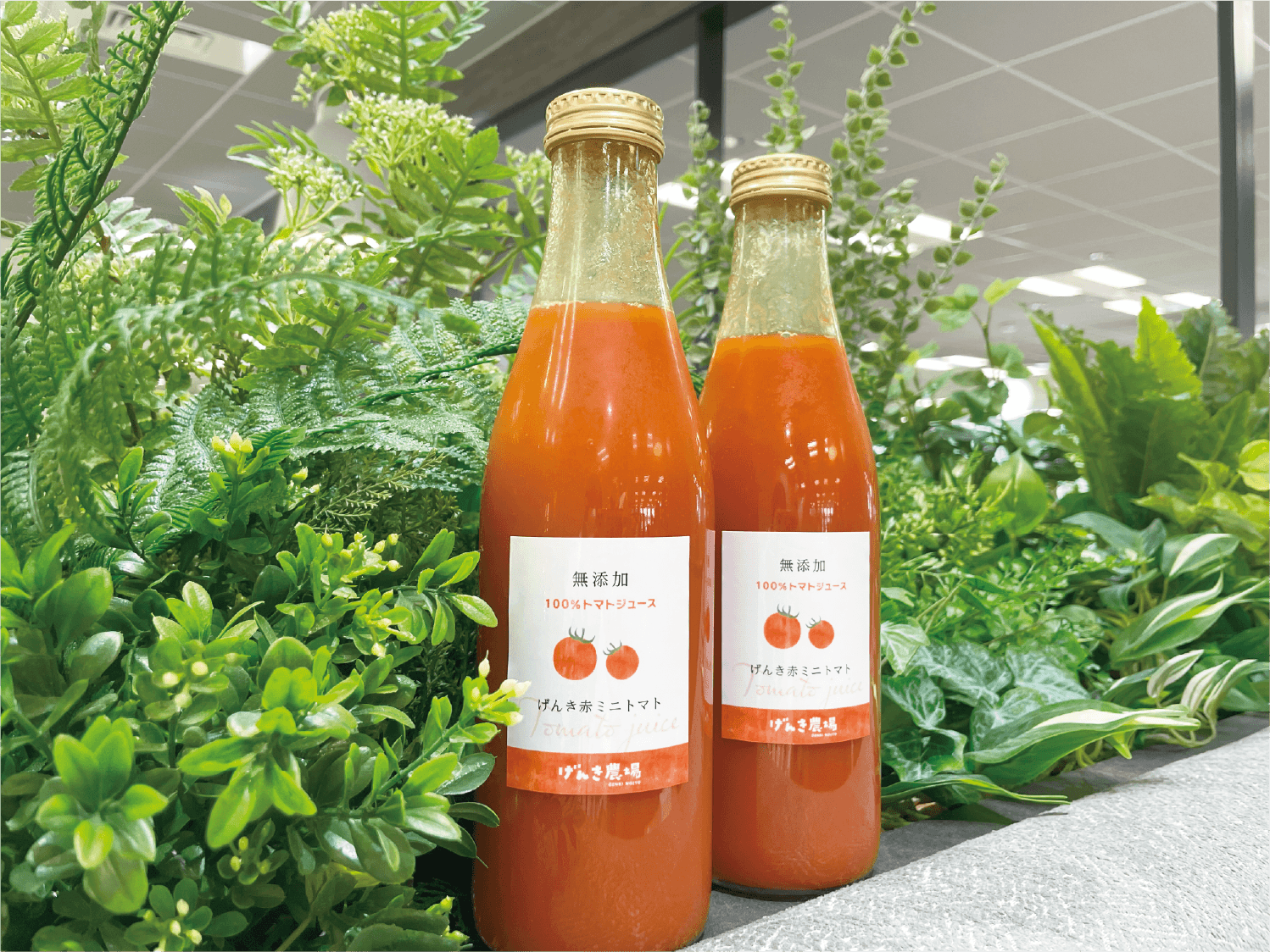 THE HIRAMATSU オリジナルトマトジュース 2本セット THE HIRAMATSU オリジナルトマトジュース 2本セット THE HIRAMATSU