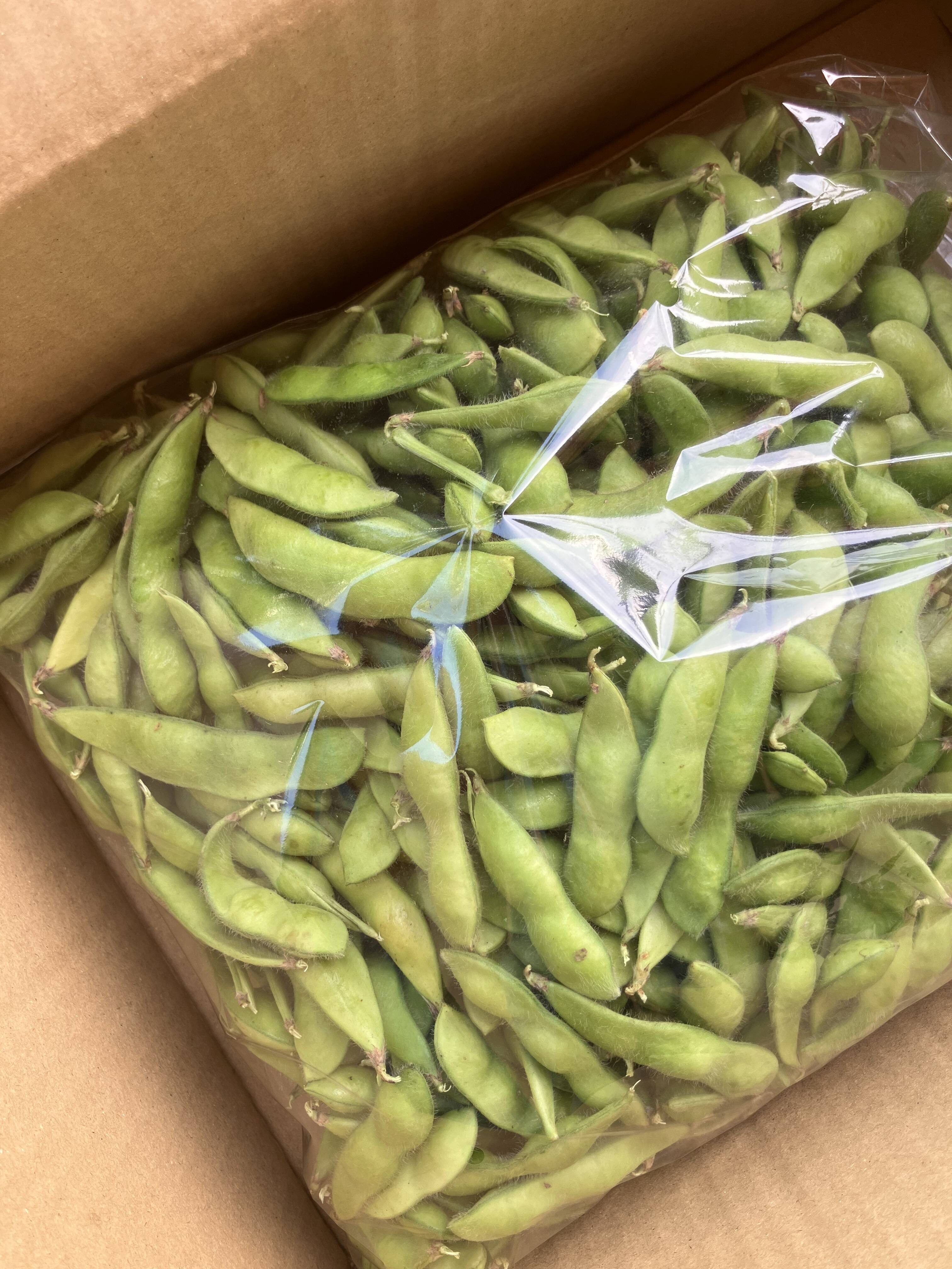 食べ始めたら止まらない♩鮮度抜群！朝採れ枝豆（2kg）：島根県産の