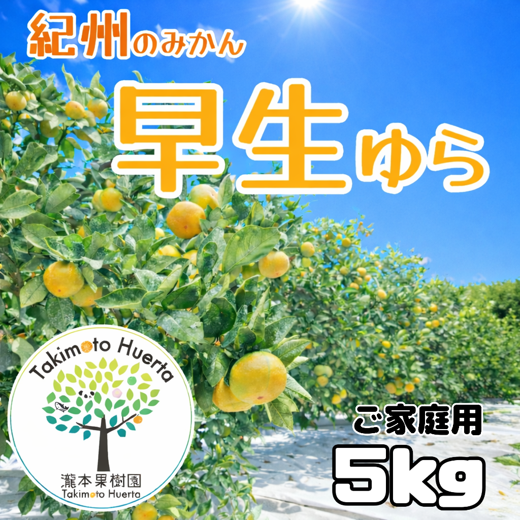和歌山県産 みかん ゆら早生 選り取り収穫 旬の味わい ご家庭用 農家