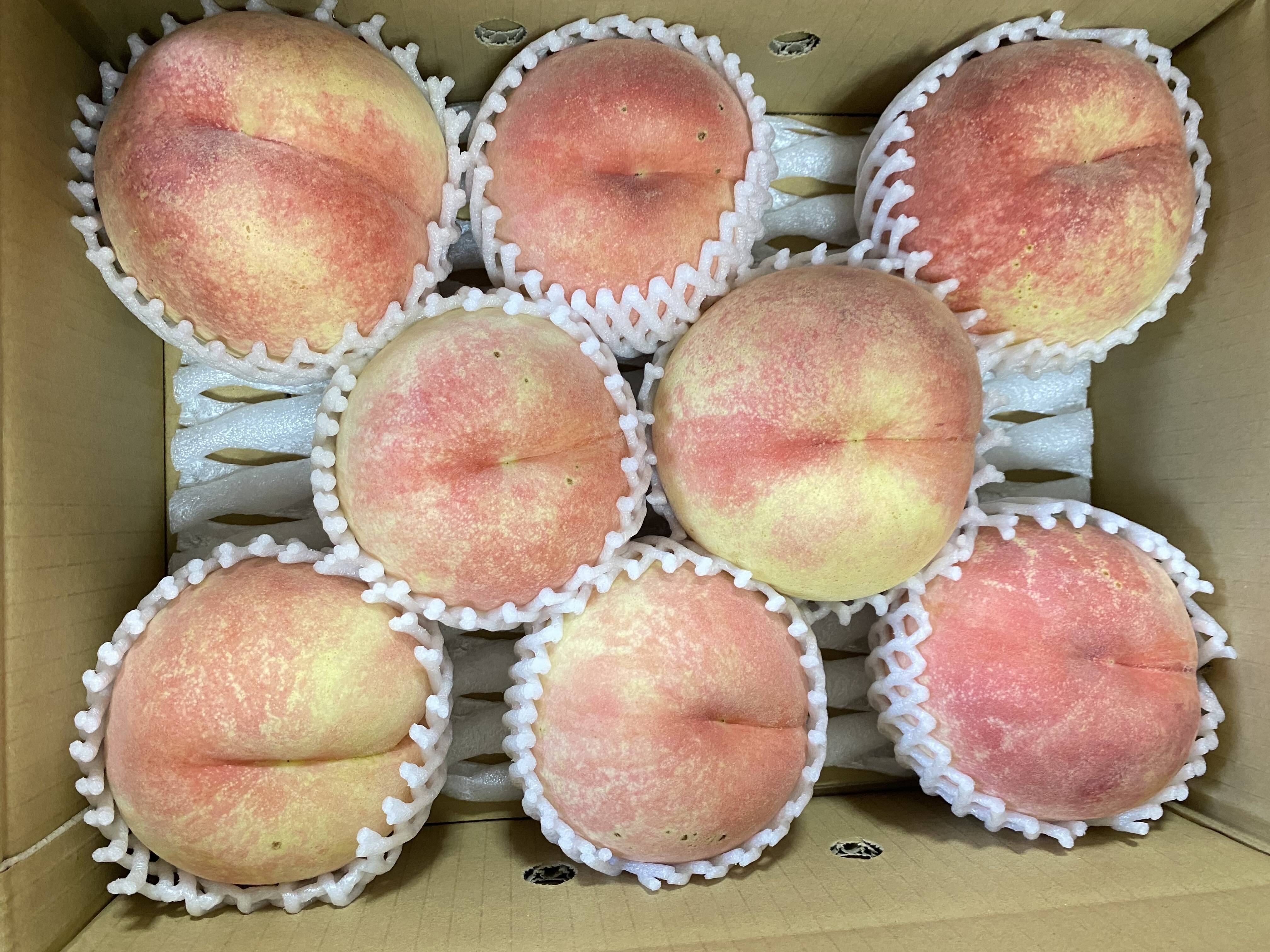 先行予約❗️🍑幸茜🍑3キロ箱 訳あり家庭用：山形県産の川中島白桃