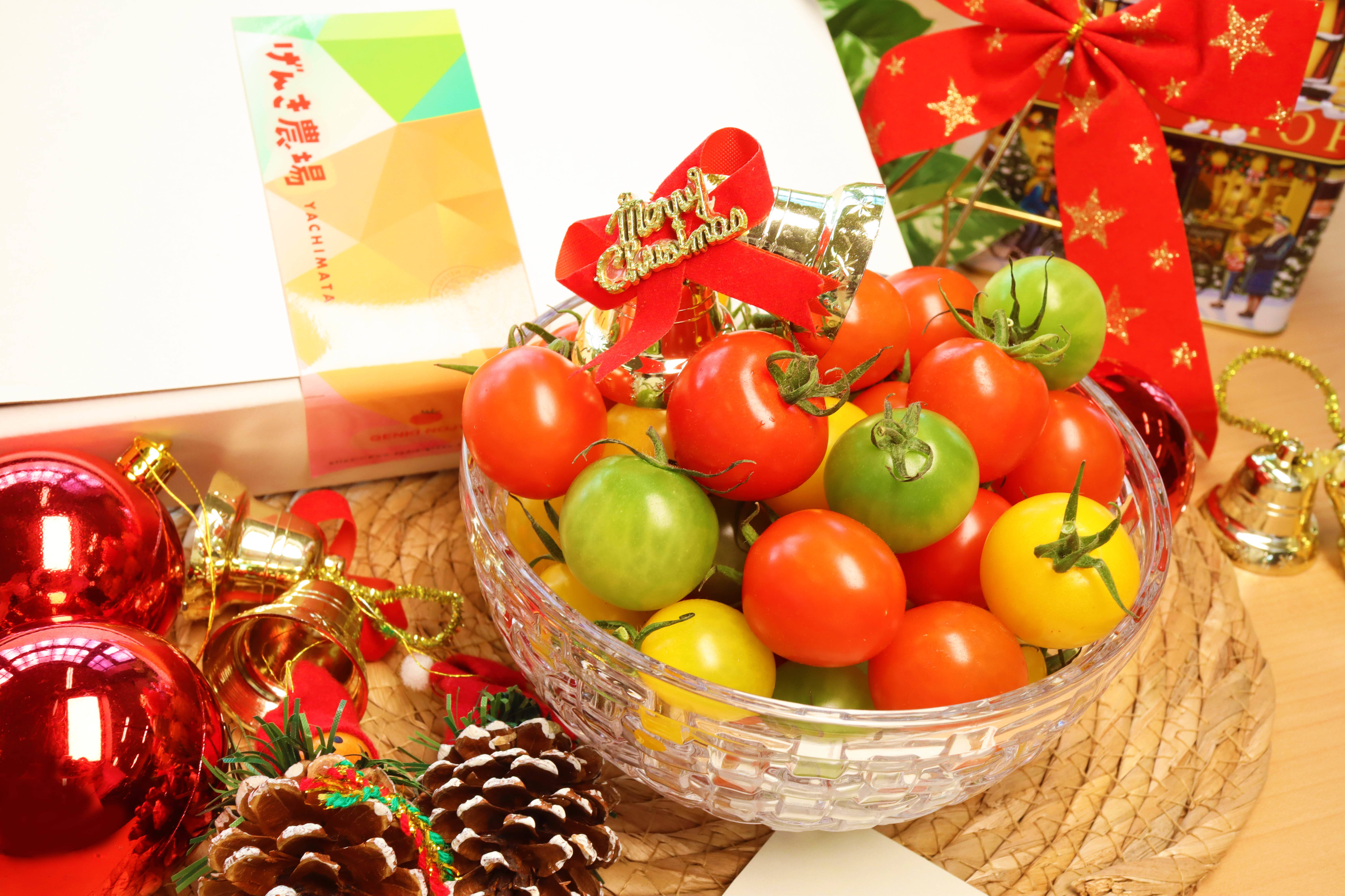 冬ギフト】カラフルミニトマト1.2kg Xmasバージョン｜食べチョク｜産地
