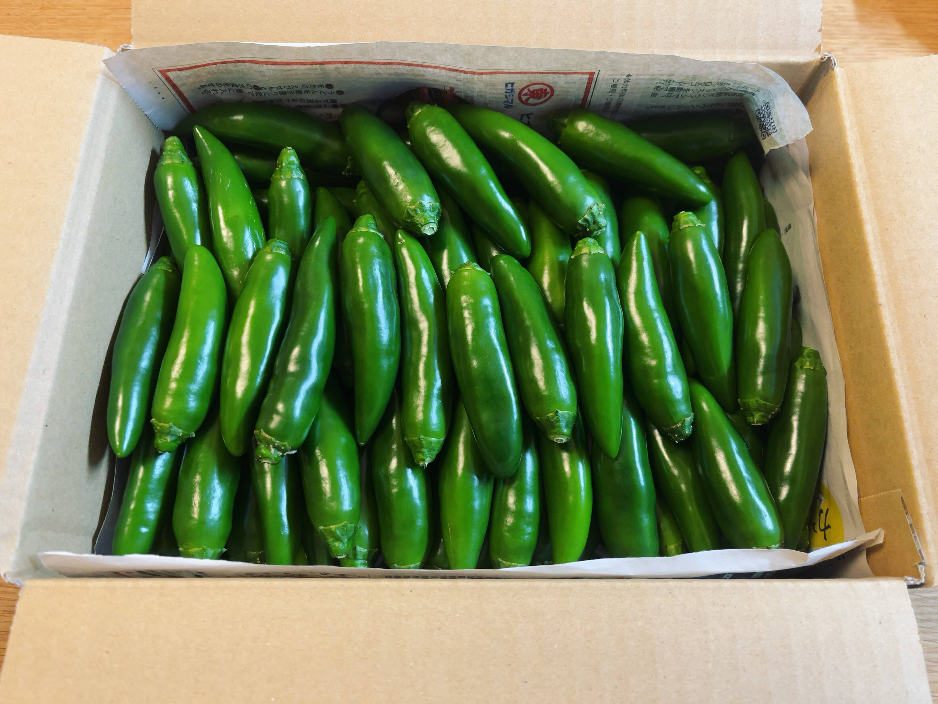 17cbebc155db6a0e7b5962ff8069ec