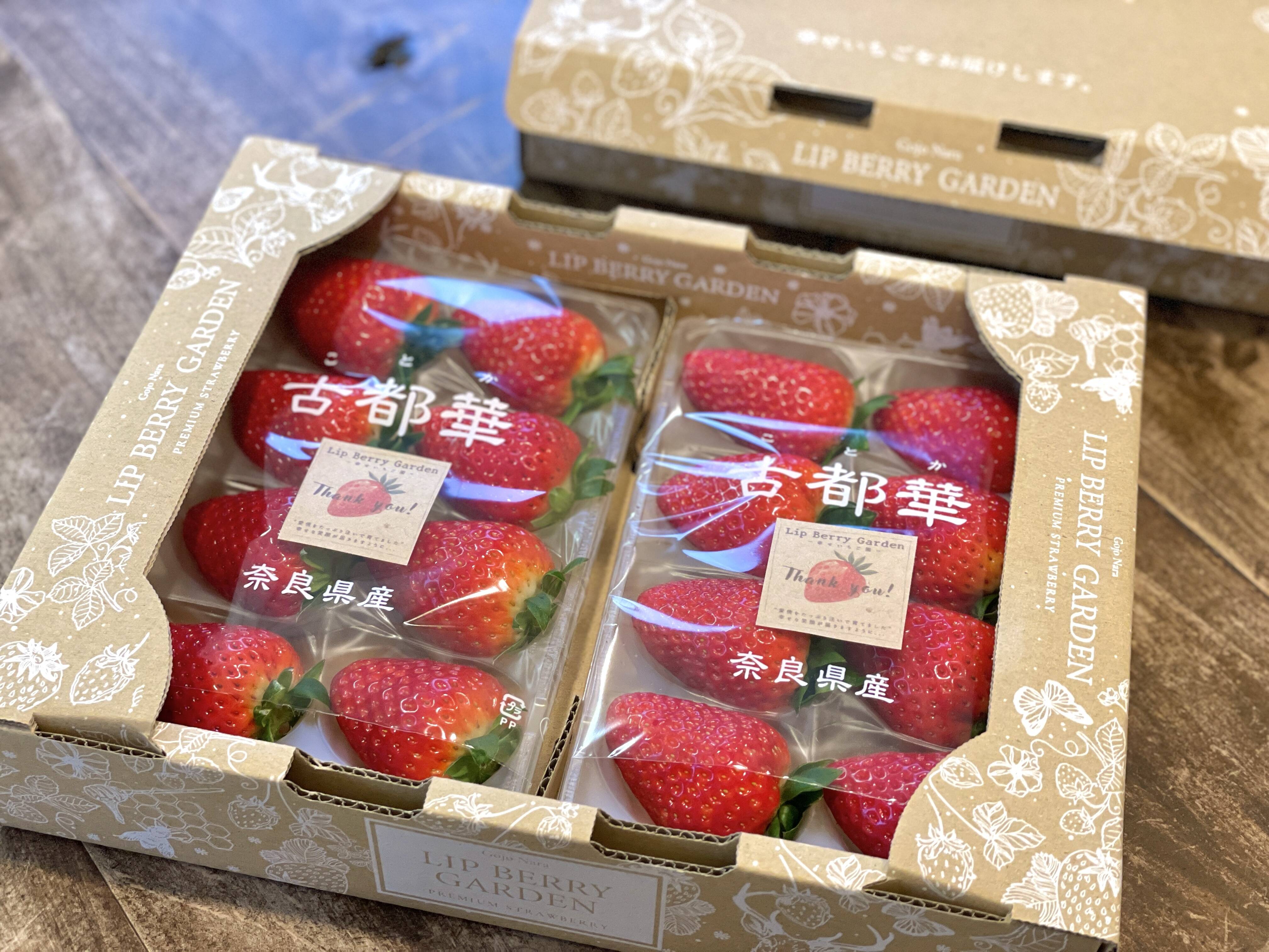 福袋】奈良ブランド苺「古都華と季節の品種の食べ比べ」＆ 古都華