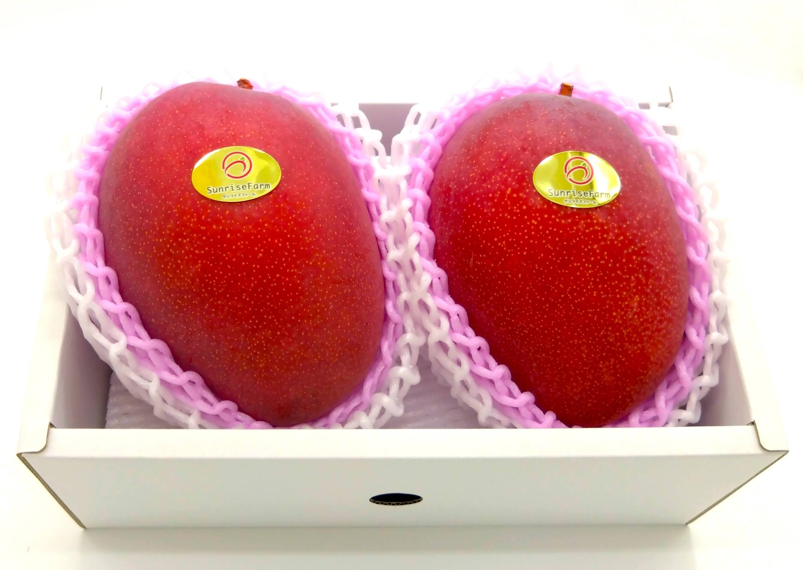 【 秀品 】贈答用マンゴー 1kg〜 順次発送中】県知事賞受賞 サンライズファームのマンゴー 【秀品
