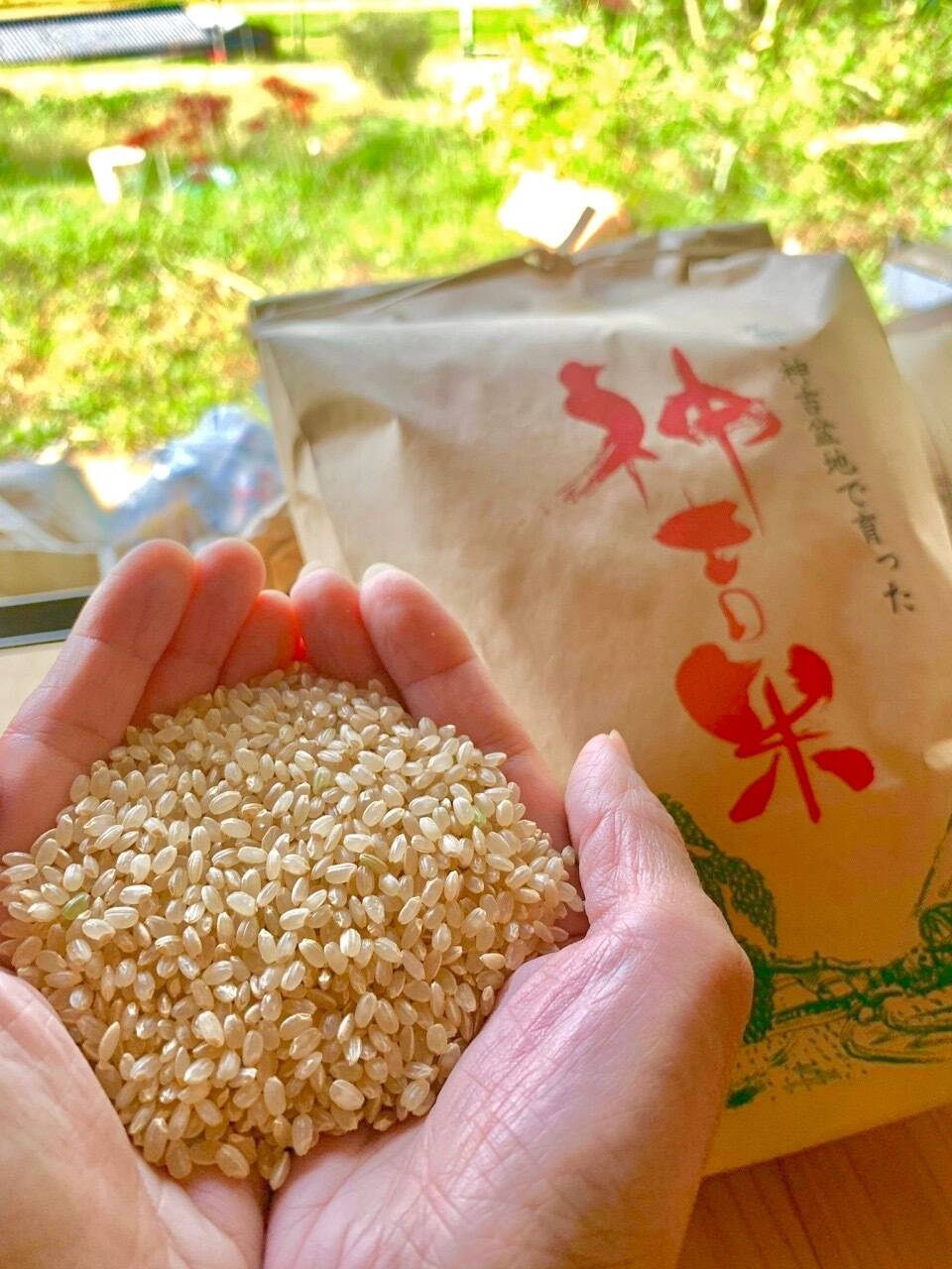 貴重な天日干し！京都府南丹市産「ササニシキ」玄米10kg（栽培期間中