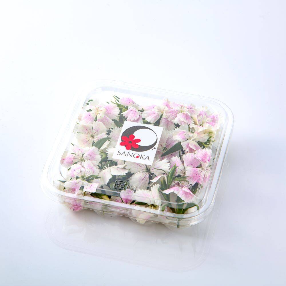 美食の演出！エディブルフラワー『SANOKA』ナデシコ ホワイト 20輪入り