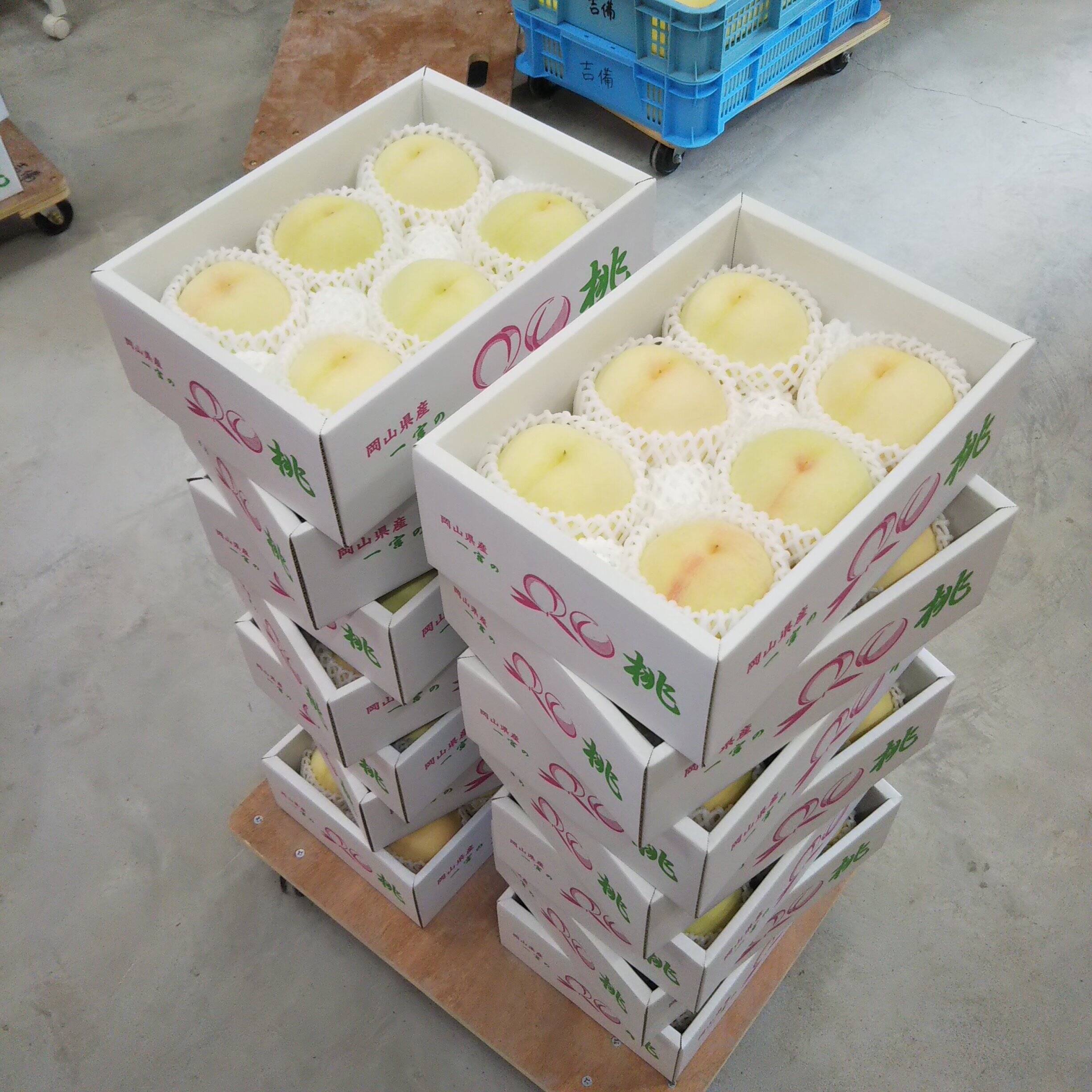 1843e5a2205f9650b2e3e1b9156f6b