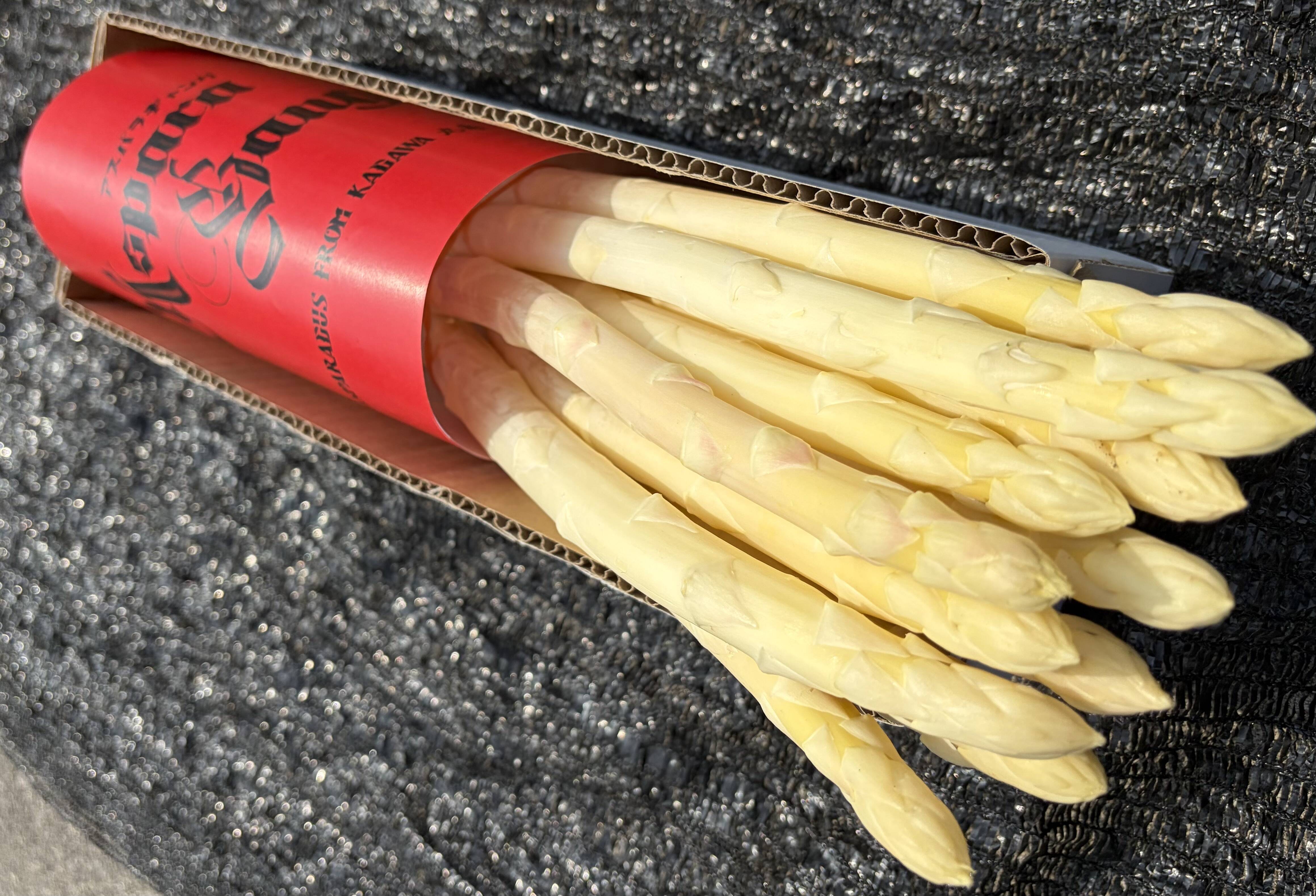 マッキー　2Lホワイトアスパラ 3kg 香川県産ホワイトアスパラ 2L以上サイズ1キロ「さぬきのめざめ」：香川