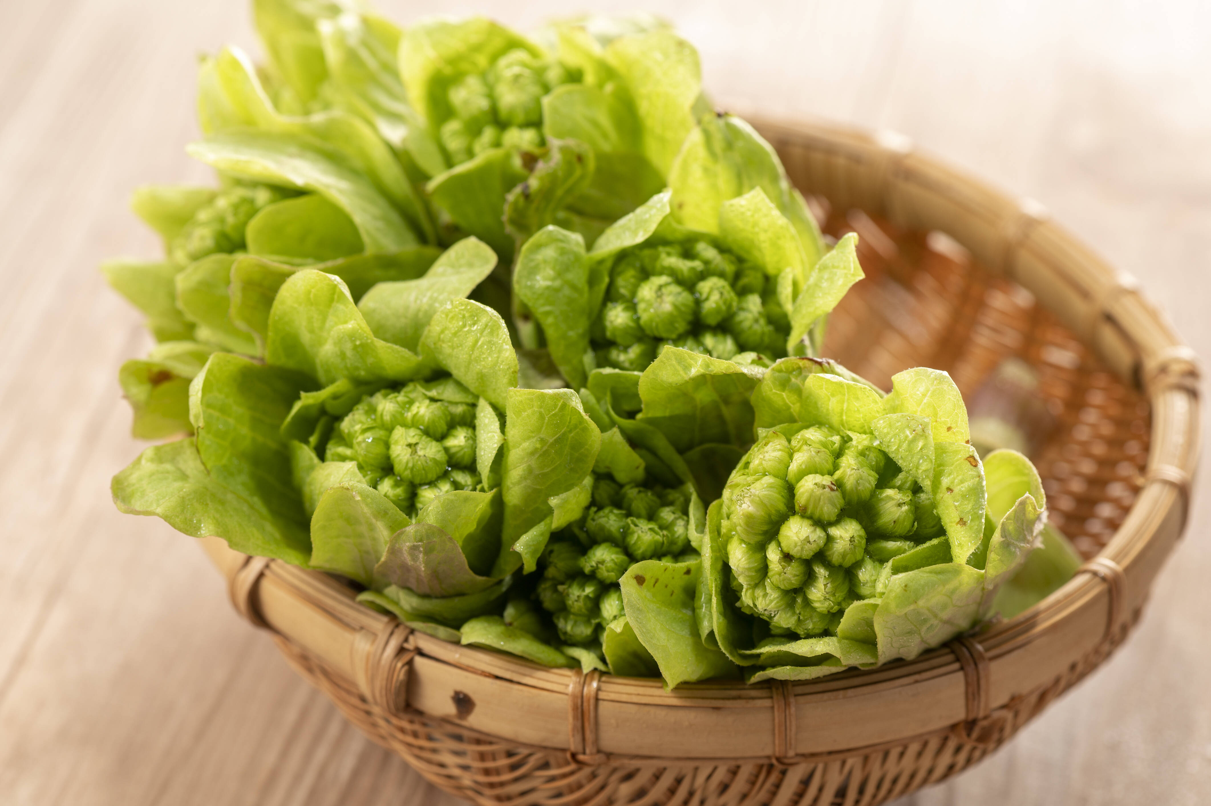 蕗の薹☆ふきのとう☆200g☆旬野菜 - 野菜