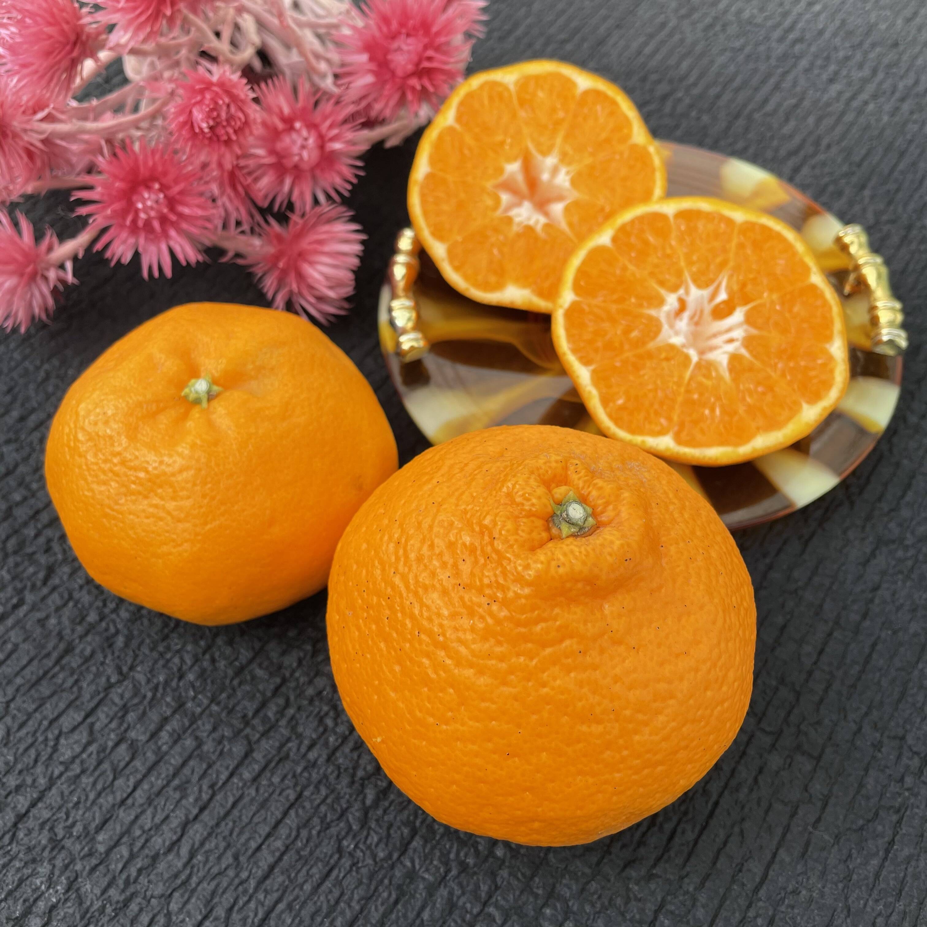はるみん出品 遂にはるみんHQのグッズ登場！！！