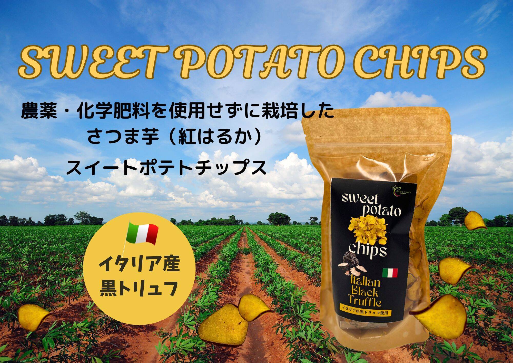 RM サツマイモ ○大感謝祭○【送料相当分値引き中!!!】 香り高いさつま芋