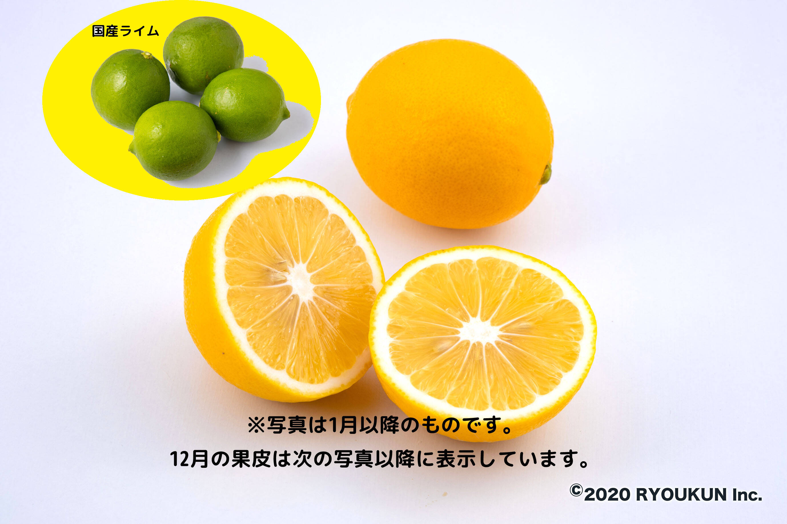 ドリンク 料理に 国産マイヤーレモン ライム５個 3kg 宮崎県産 食べチョク 農家 漁師の産直ネット通販 旬の食材を生産者直送