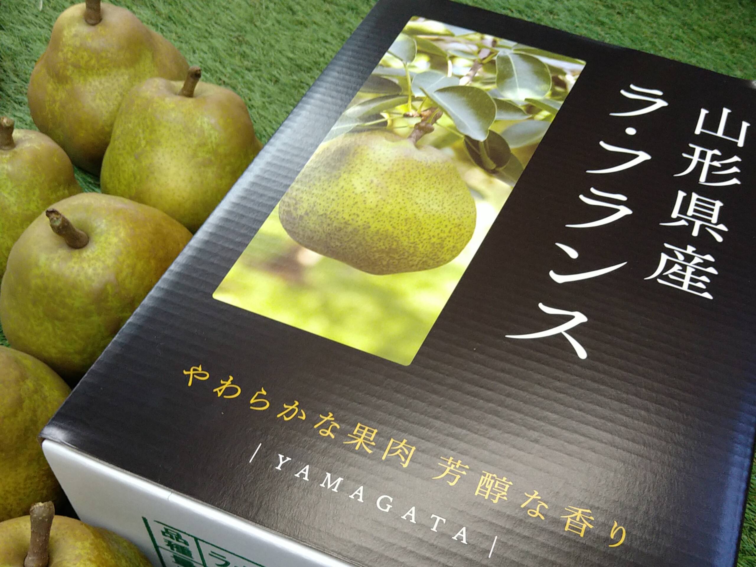 ラスカル様 写真確認出品 計20枚(13枚目、14枚目の写真) shinsekai-osaka-wide-angle-