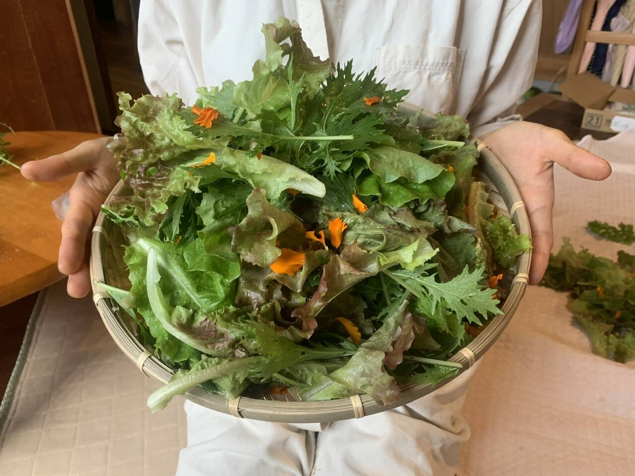 奥出雲産自然栽培サラダミックス(250g)：島根県産のレタス｜食べチョク