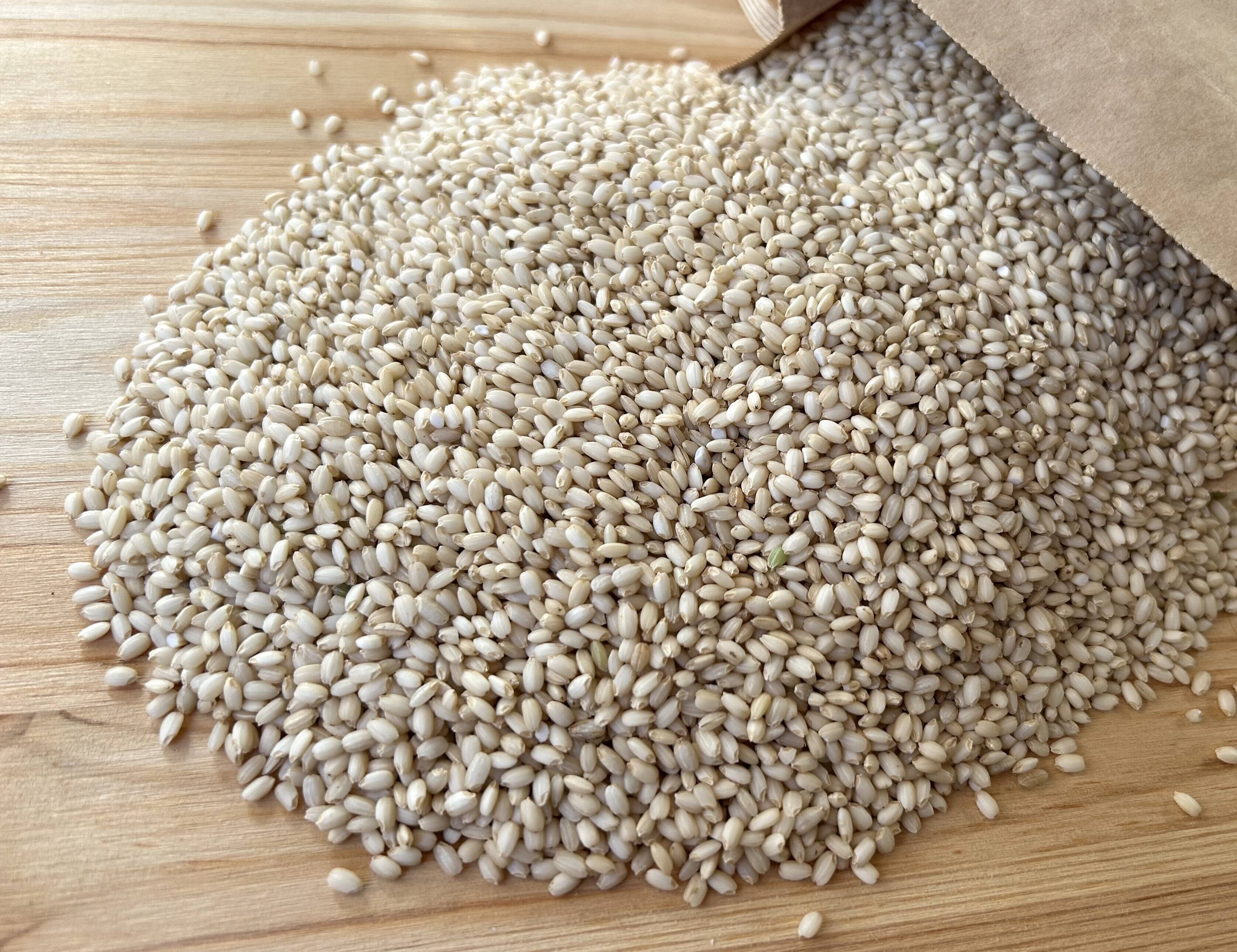 農薬化学肥料不使用・『たきたて』冷めてもモチモチ玄米5kg 令和7年産