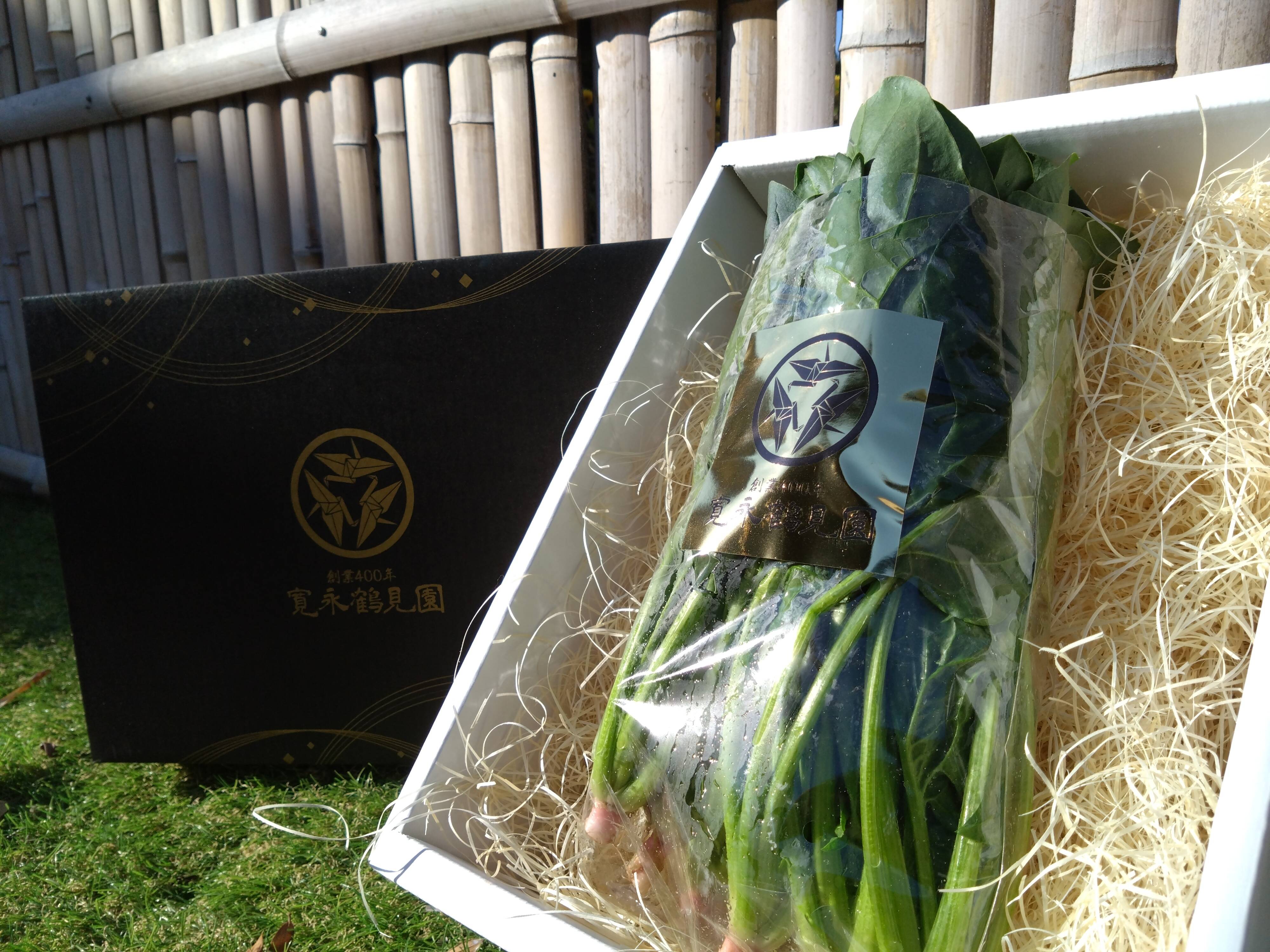 日テレ出演で話題沸騰】糖度20度オーバーほうれん草の常識を覆す極上の