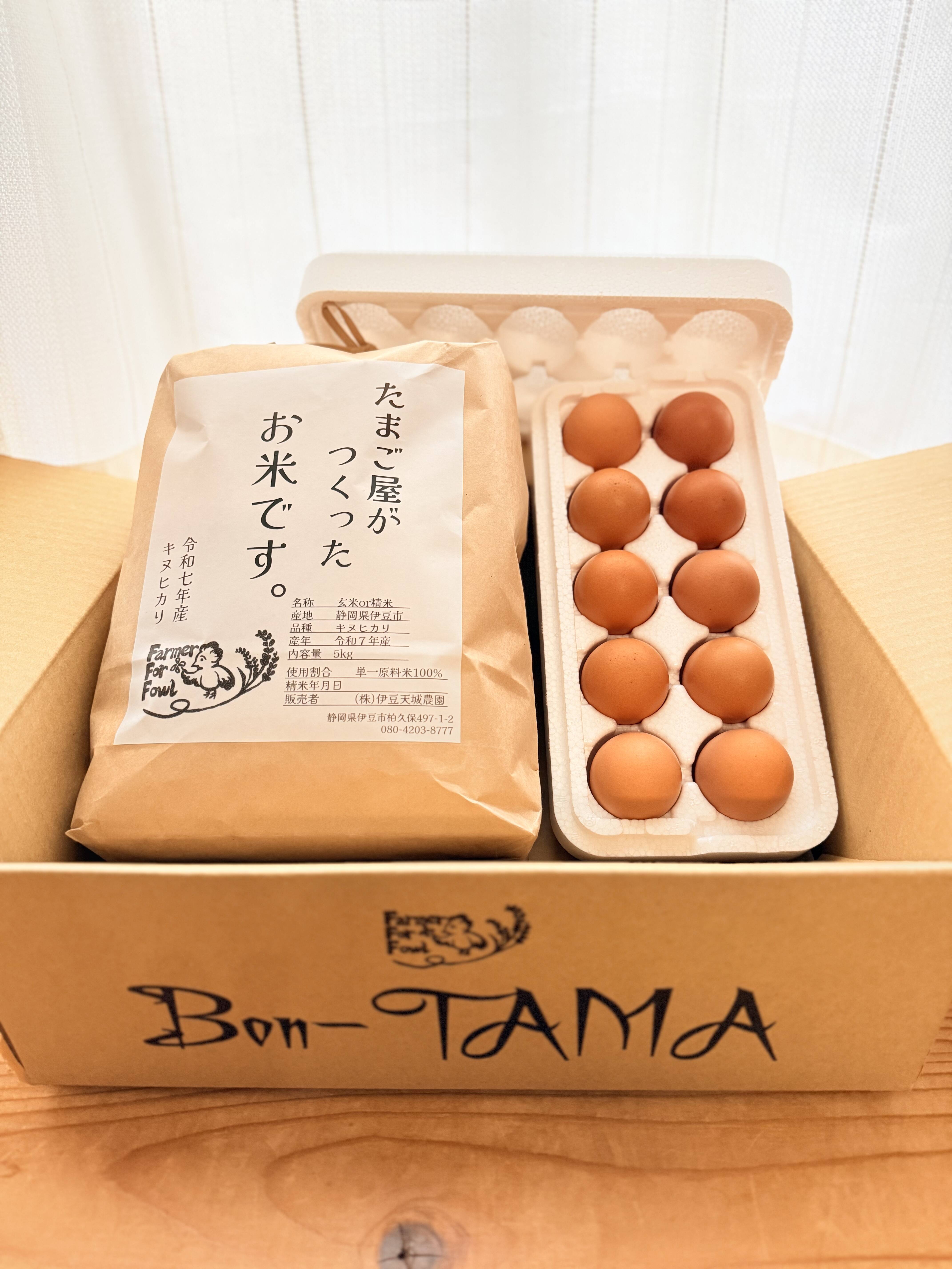 限定☆残り1食☆】採れたて新鮮！令和7年新米5kg+平飼い卵10個：静岡 