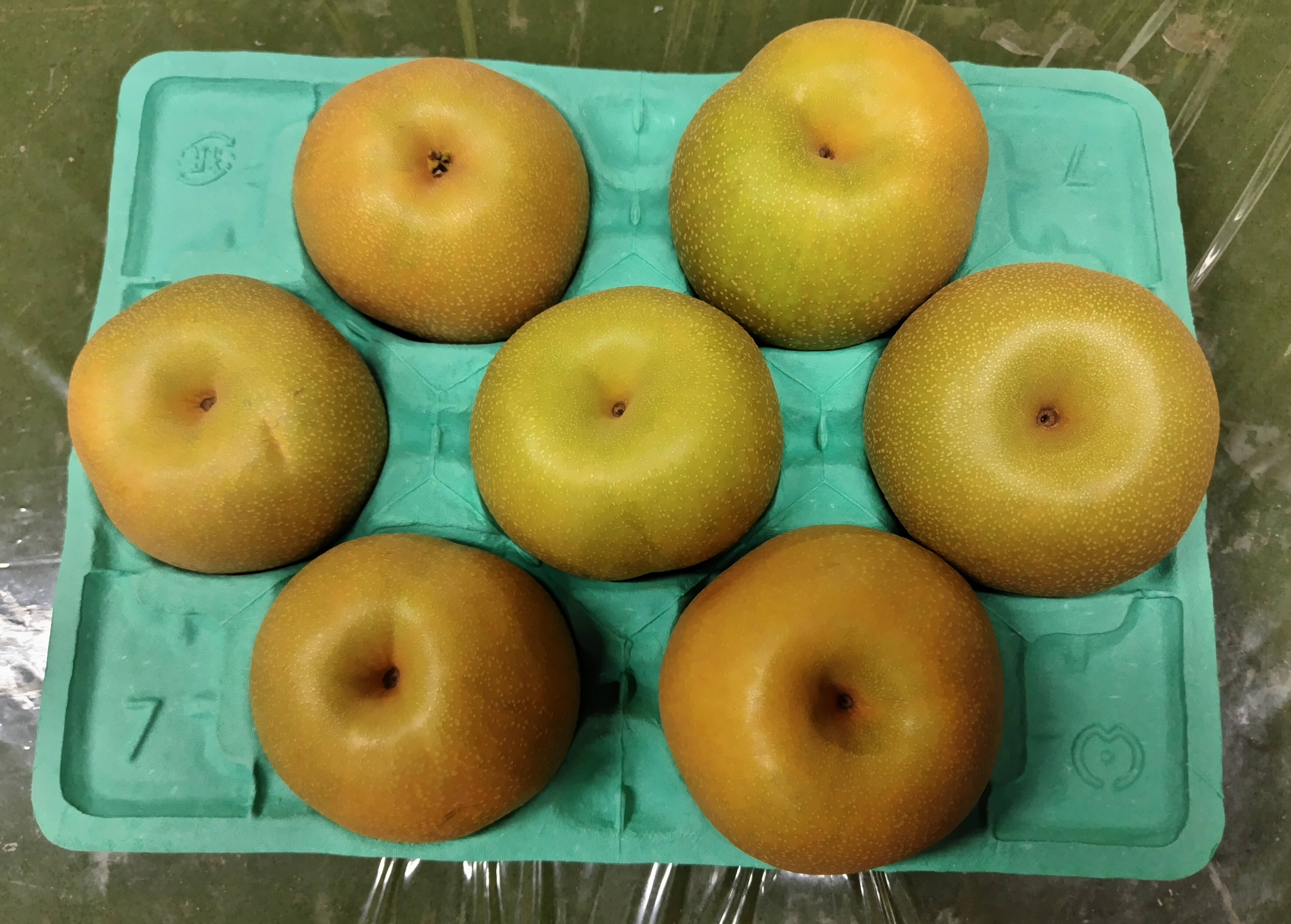 大玉】千葉県産 幸水7個入り 梨：幸水】5kg 大玉(7〜12玉)｜千葉の梨