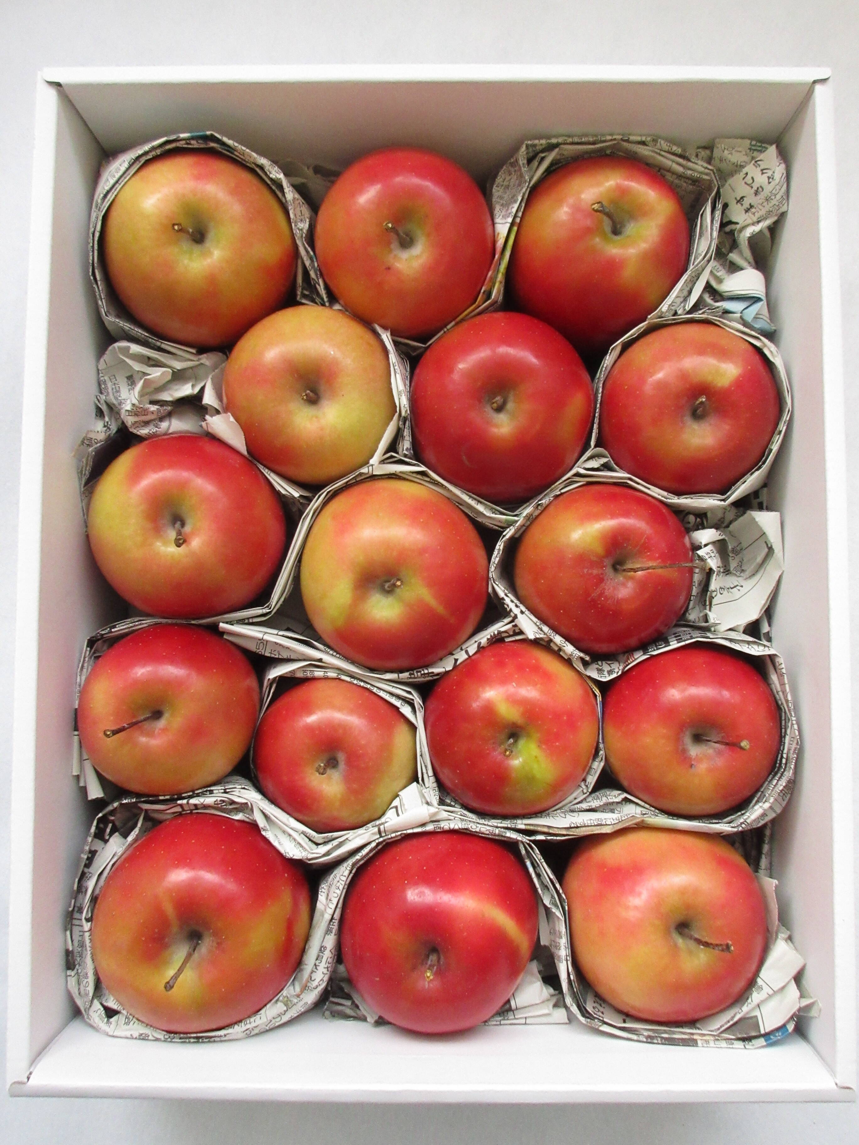 超希少品種！訳あり】果肉まで赤～いりんご「栄紅」果肉色ムラB品（2.5