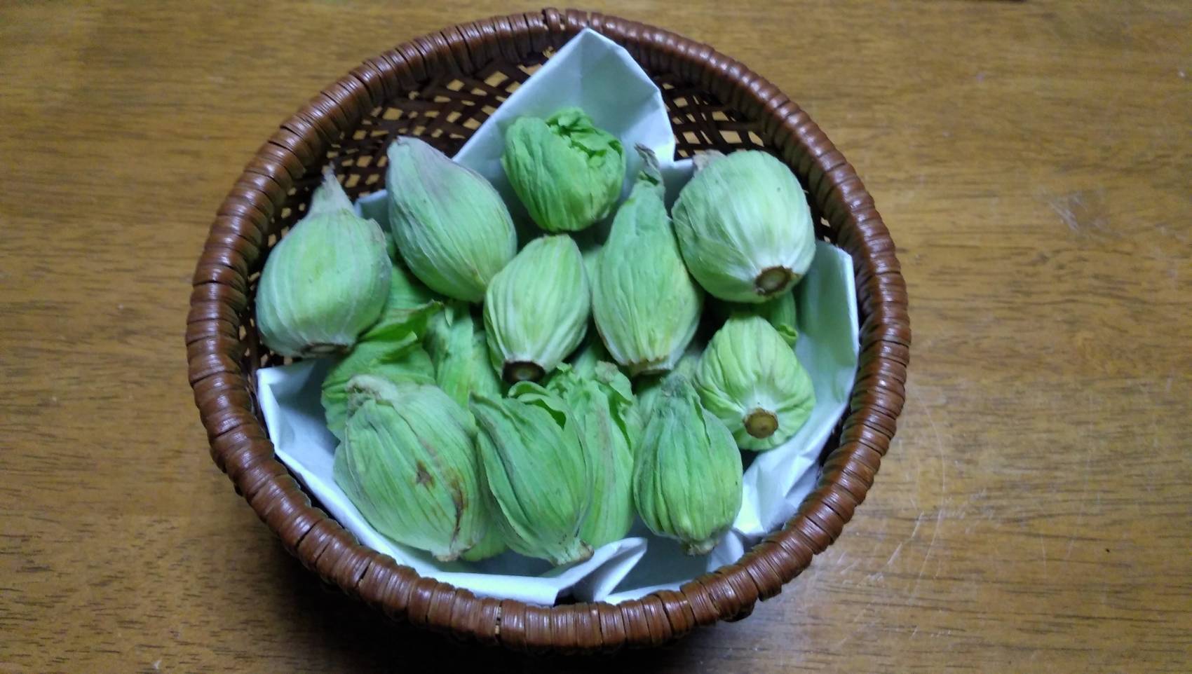 天然山菜 秋田のふきのとう500g（予約販売）世界遺産白神山地付近産